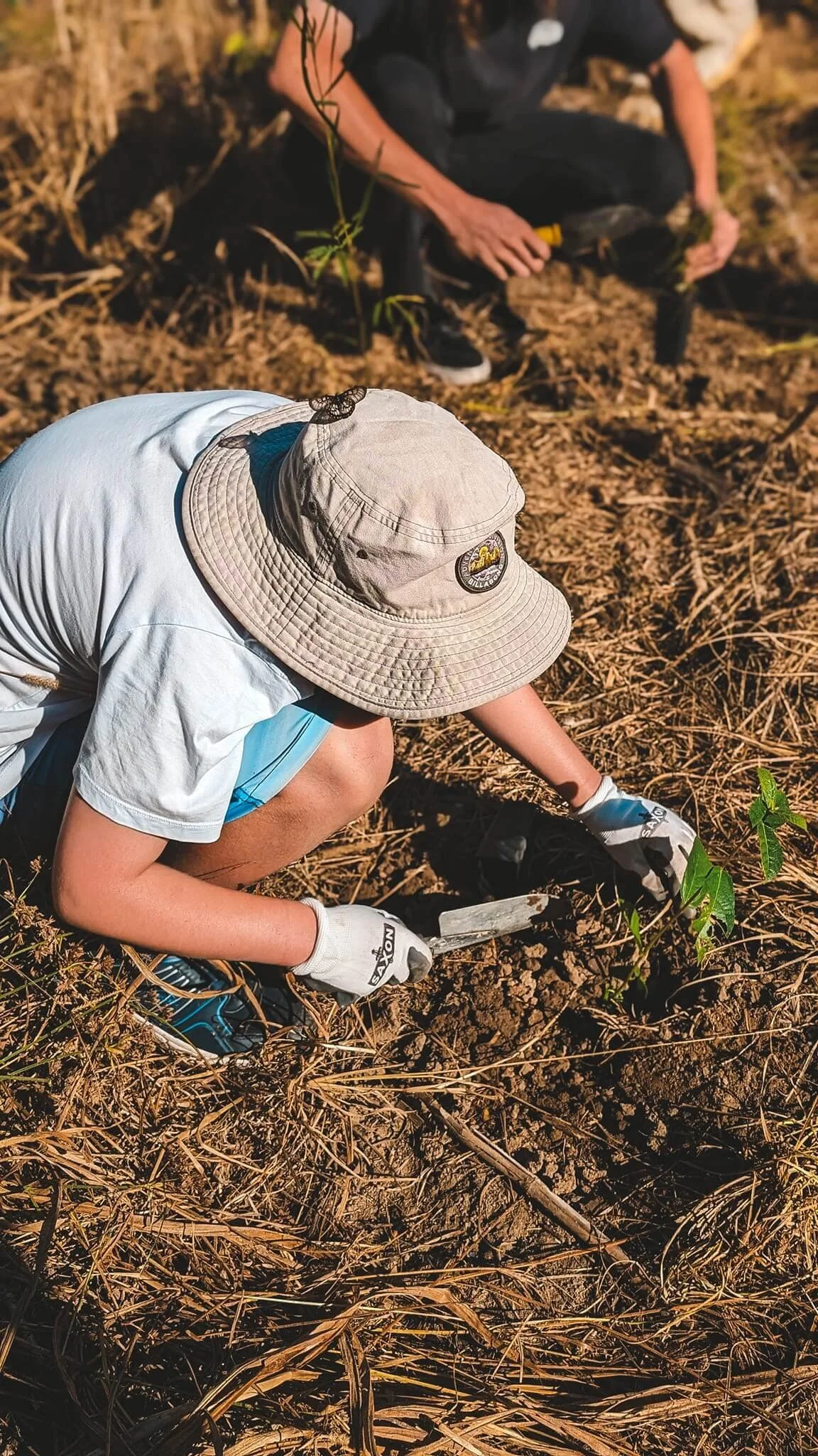 A person wearing a beige hat, white shirt, and gloves is kneeling on the ground, planting a small green seedling in dry, brown soil. A butterfly is perched on the person's hat, and another person is squatting nearby in the background.