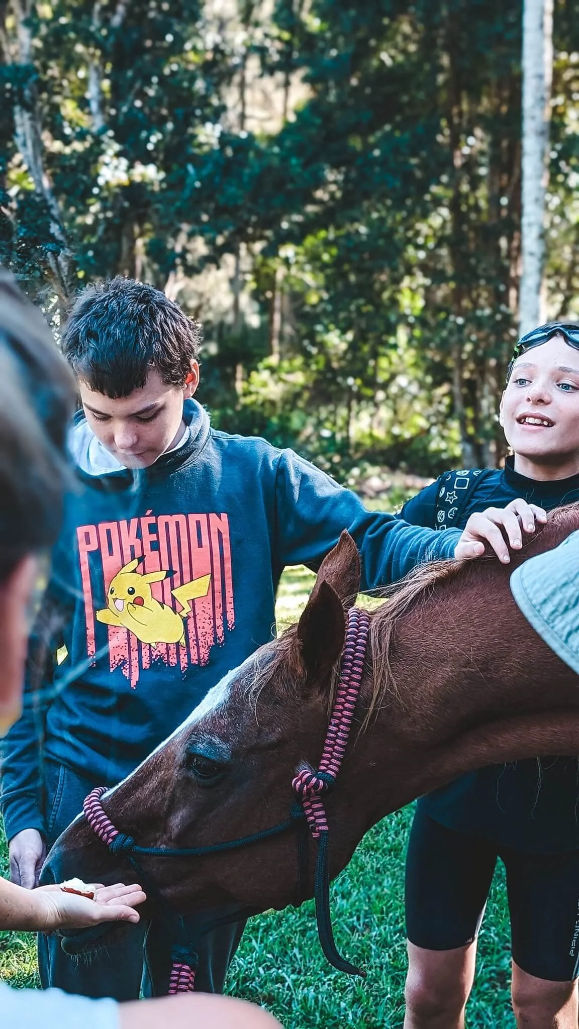 Children or teenagers petting a horse in an outdoor setting with trees in the background, some wearing casual clothing.