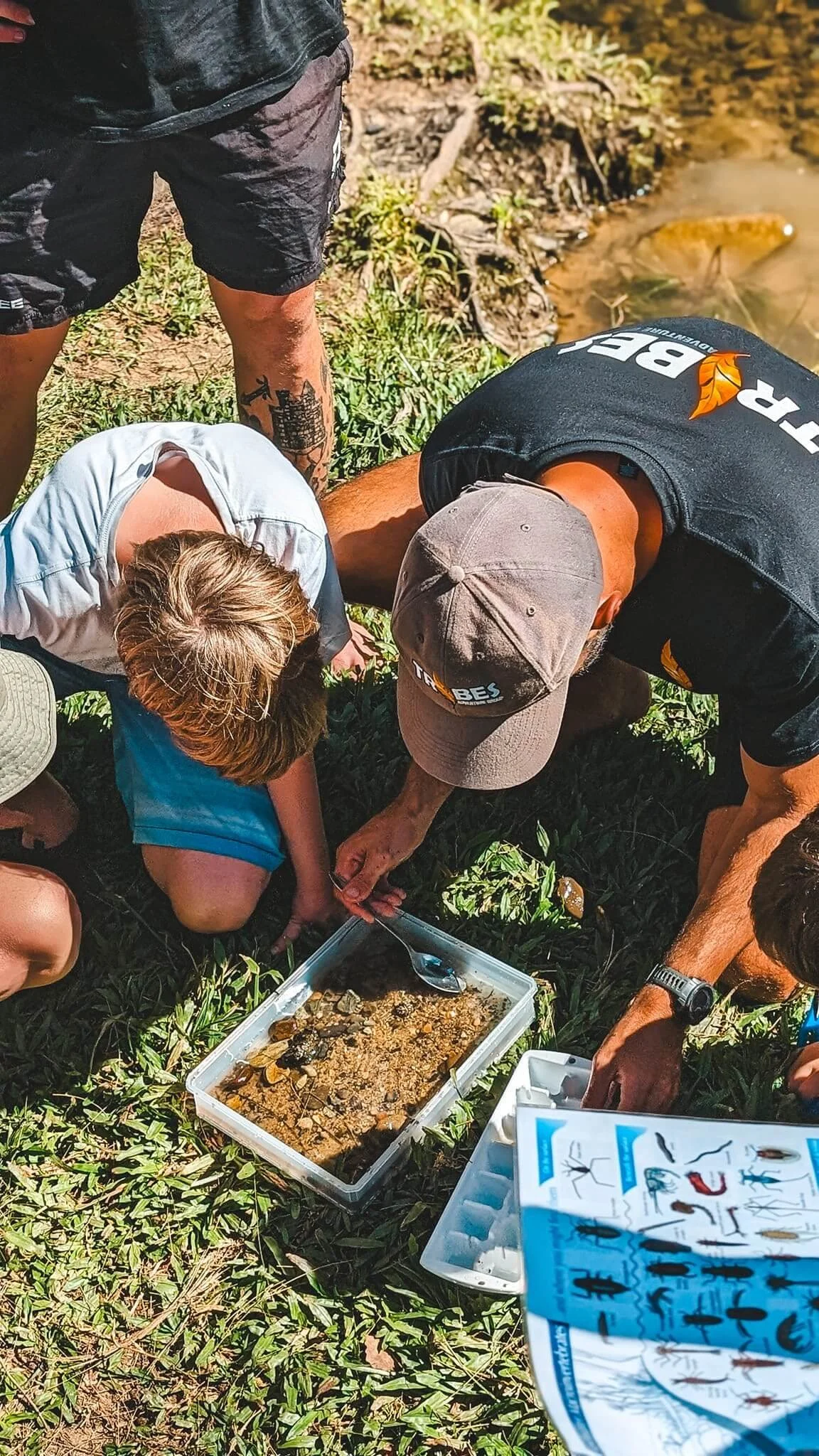 People gathered outdoors near a small body of water, examining and showing various insects or small creatures in and around a plastic container on the ground.