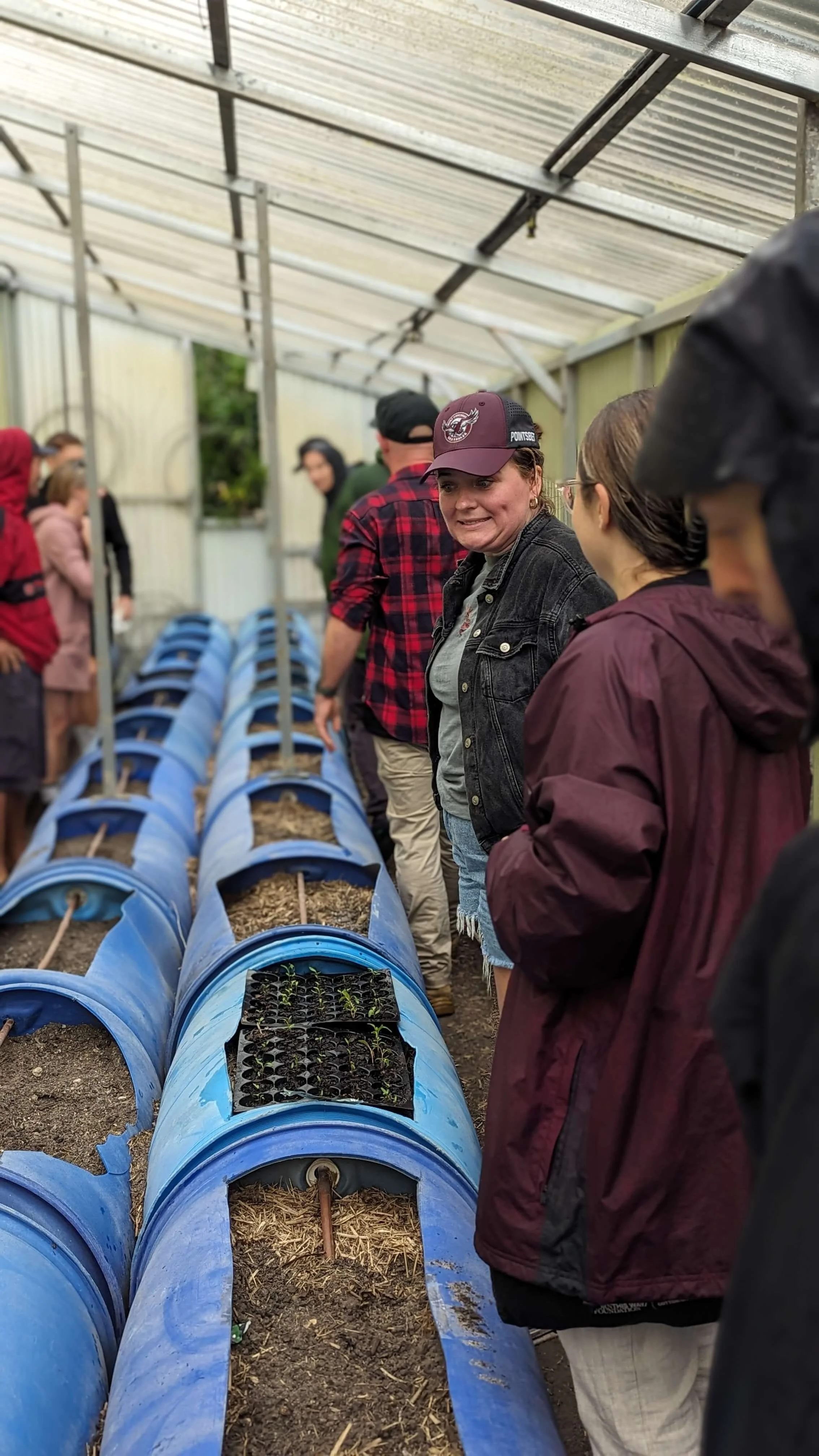 People standing in a greenhouse around blue plastic pipes filled with soil and seedlings, observing plant growth.