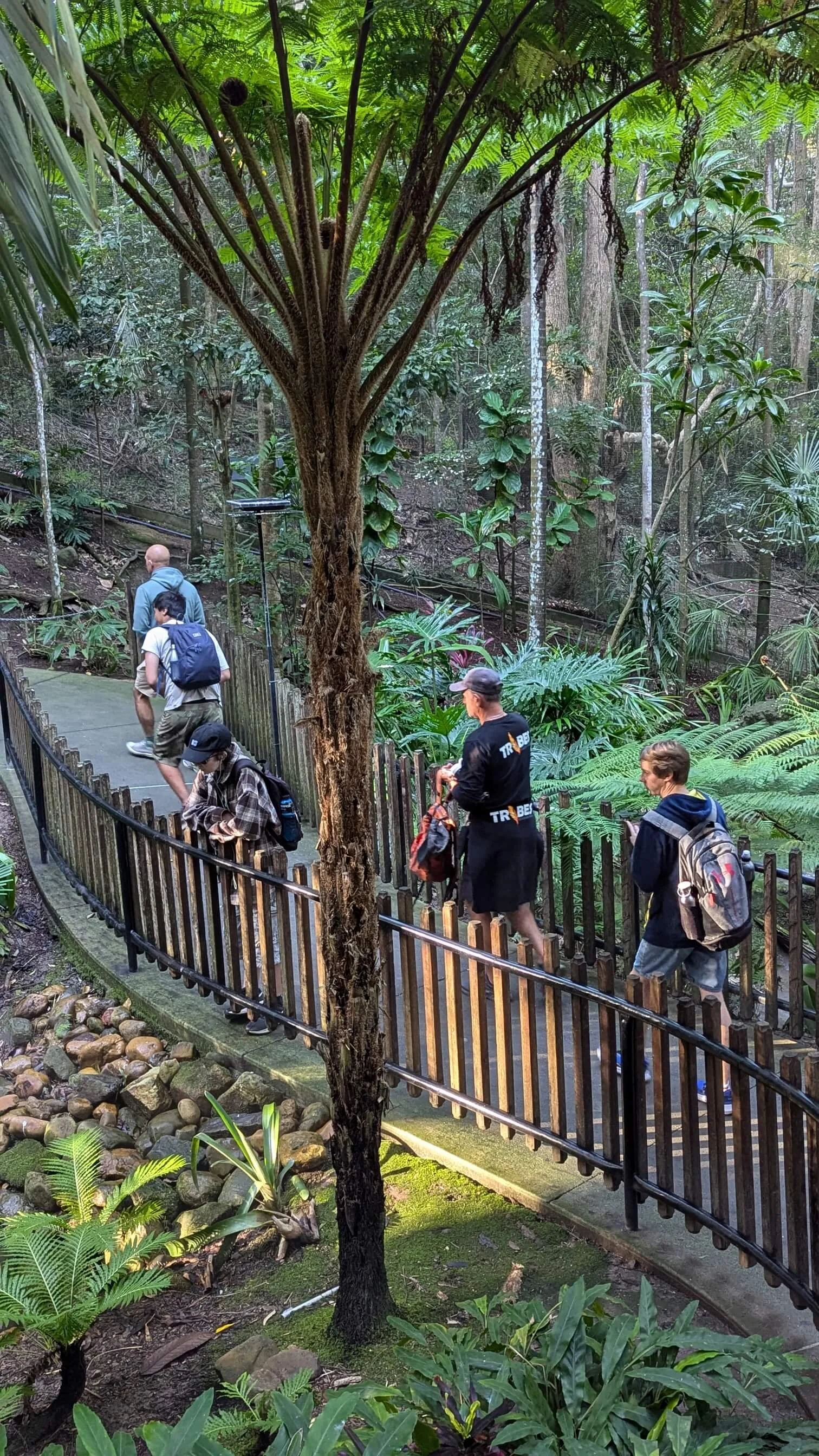 People walking along a paved path in a lush forest with dense green foliage, tall trees, and a wooden fence lining the trail.