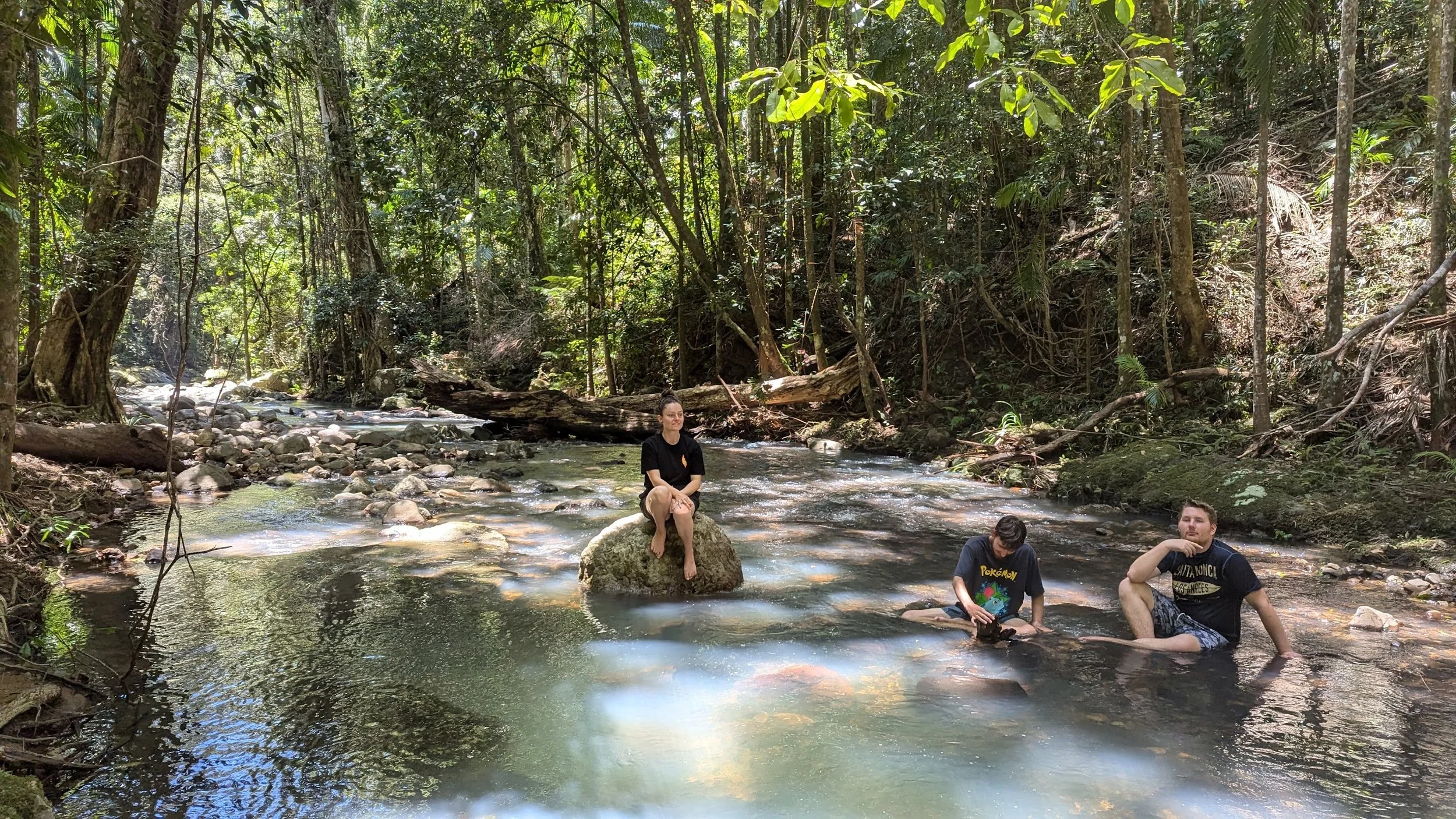 Three people sitting in a forest stream surrounded by tall trees and lush green foliage. One person is sitting on a rock in the water, while the other two sit on the riverbank.