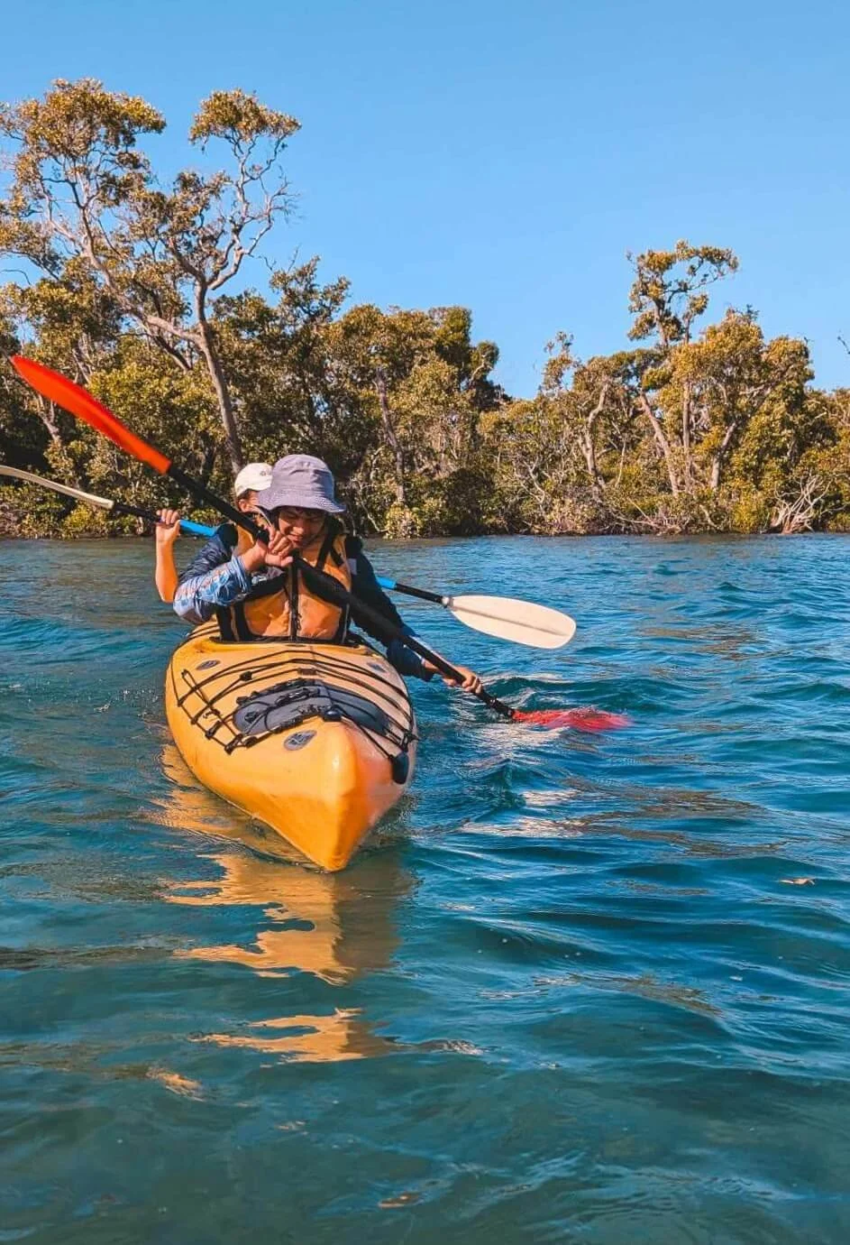 Two people kayaking on a calm body of water with trees in the background under a clear blue sky.