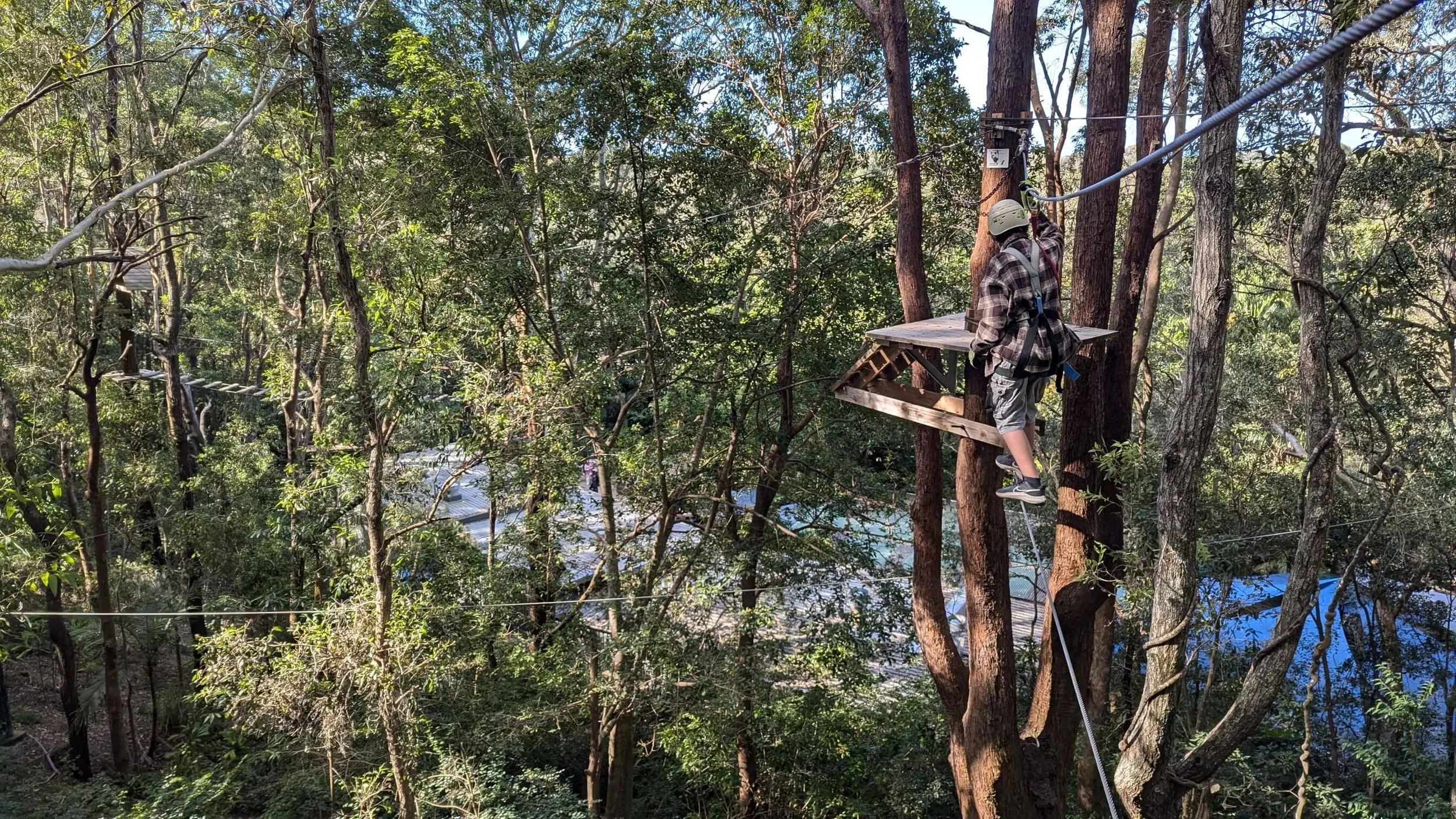 Person wearing a helmet and harness navigating a ropes course through tall trees in a forested area.