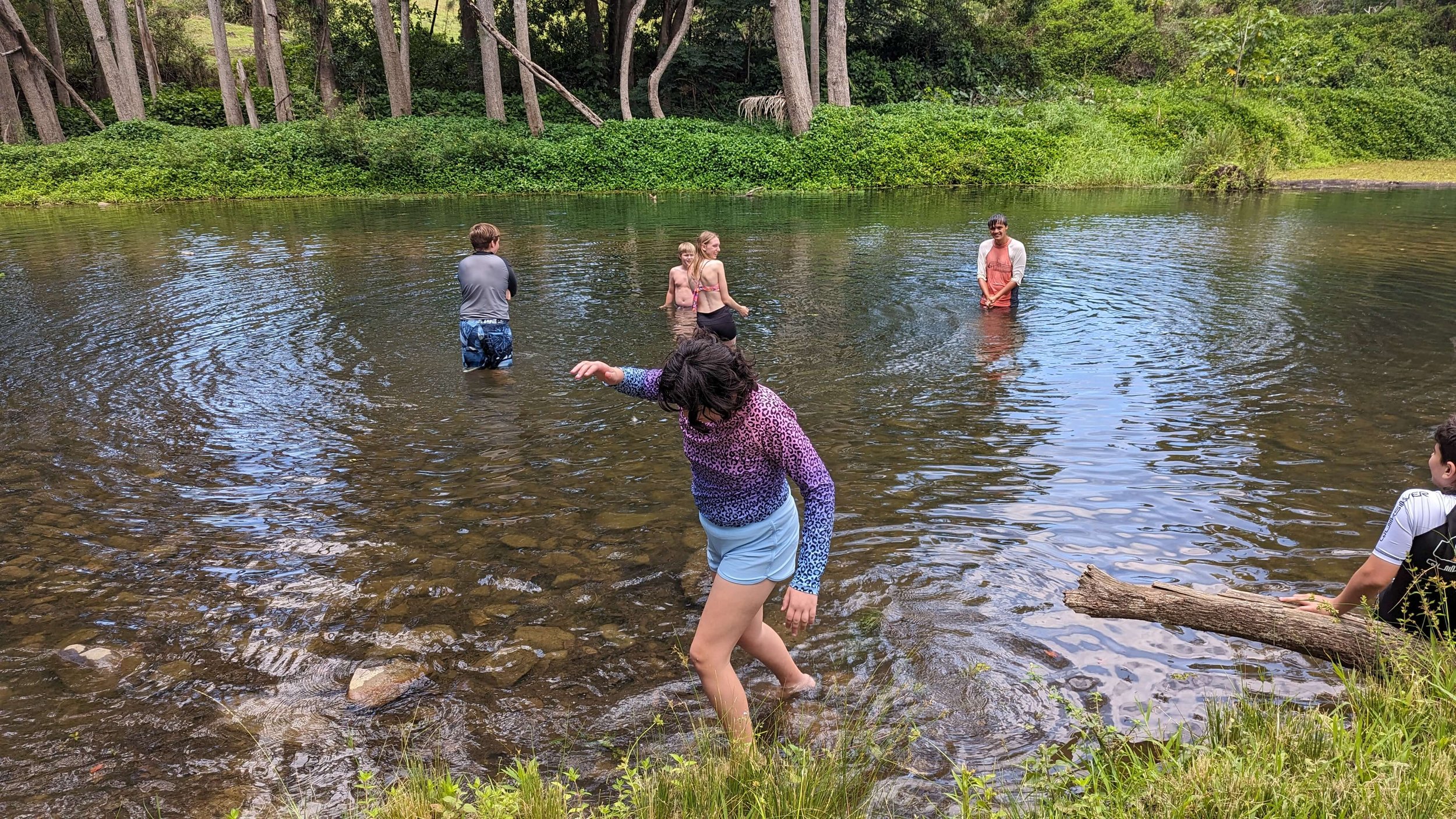People wading in a shallow river surrounded by green trees and bushes.