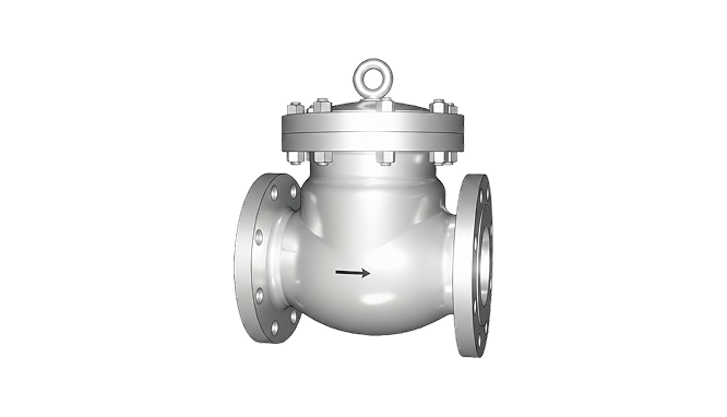Check Valves img