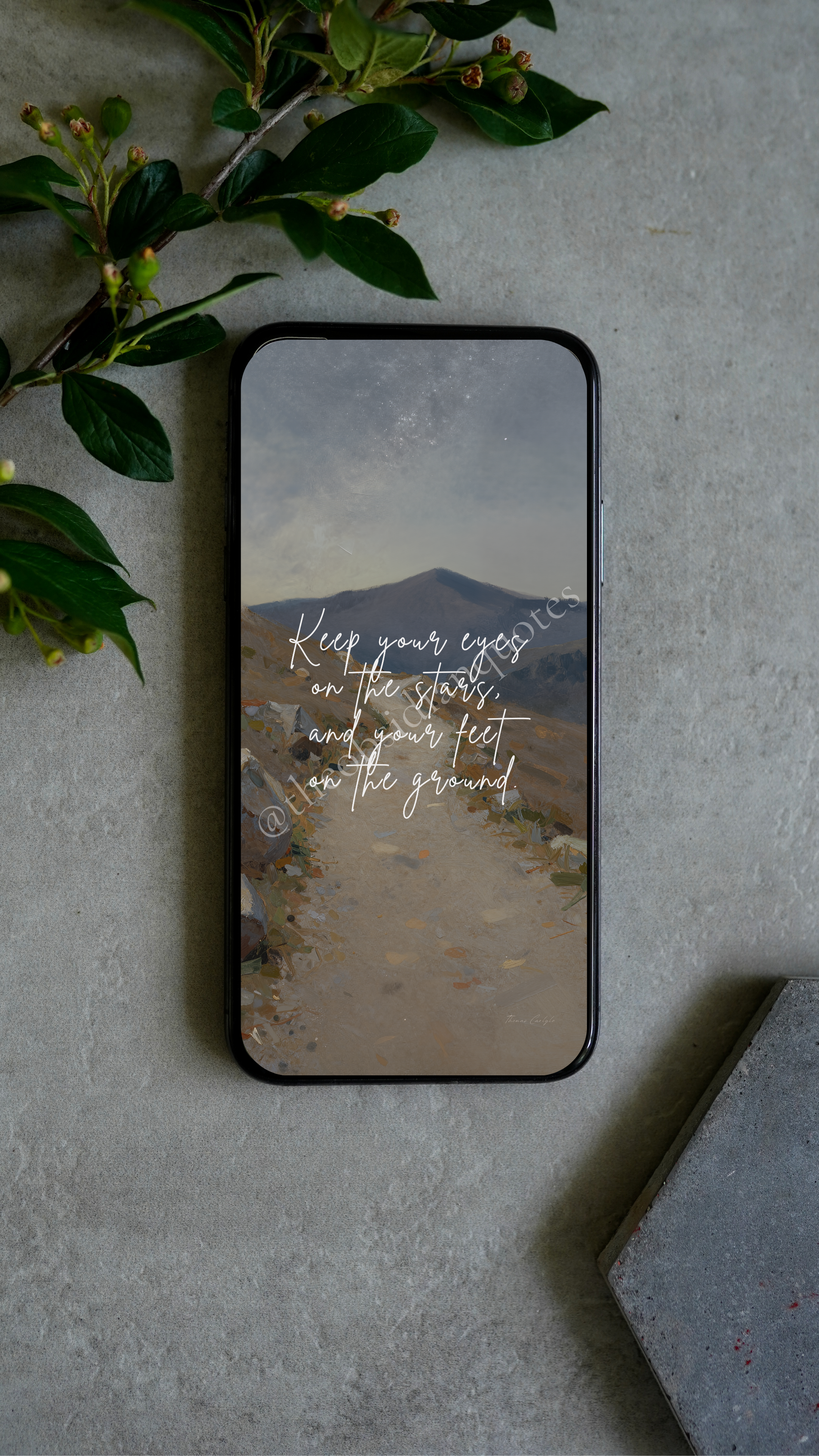 Eyes on the Stars — Grounded Ambition Phone Wallpaper