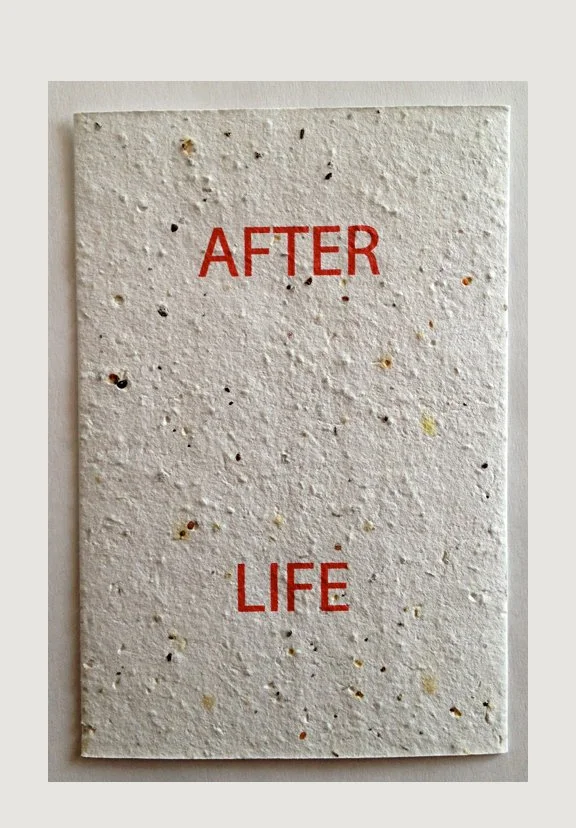 Afterlife-2.jpg