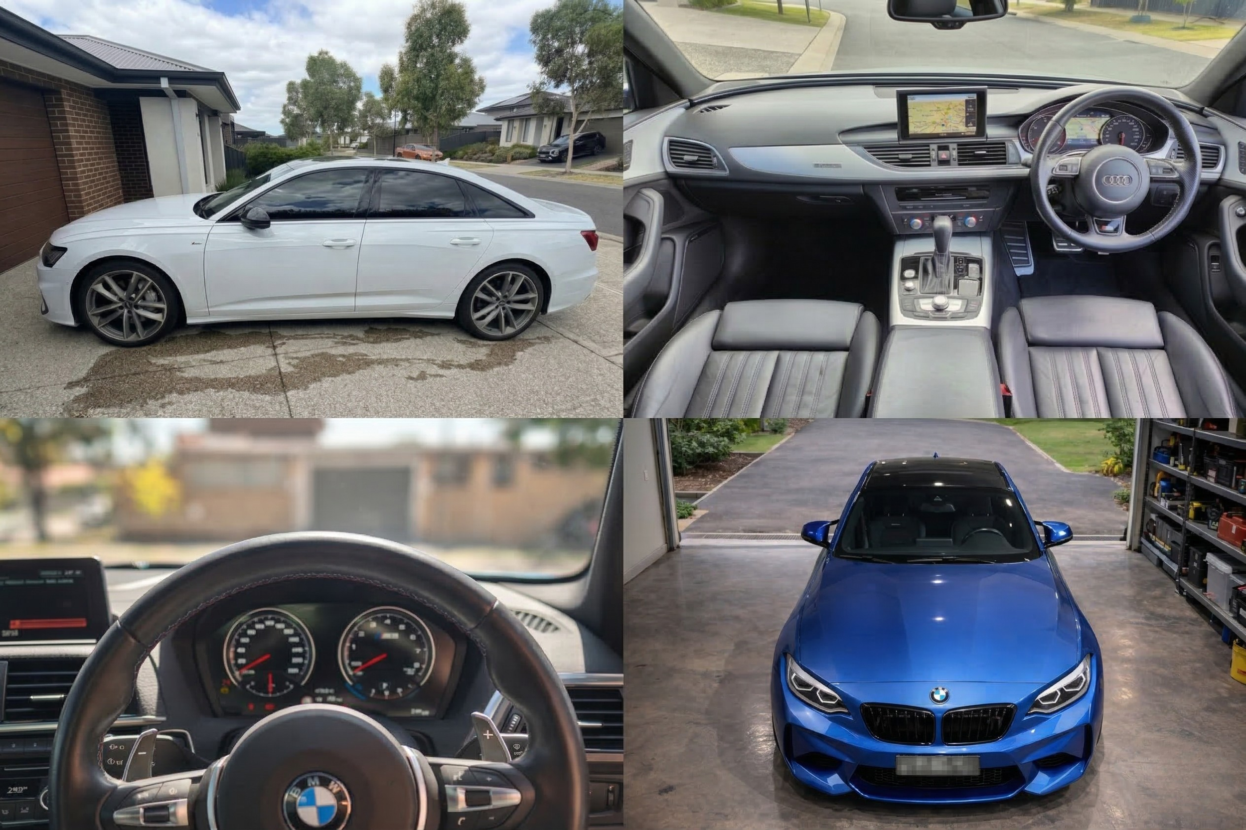 Untitled design (15).png