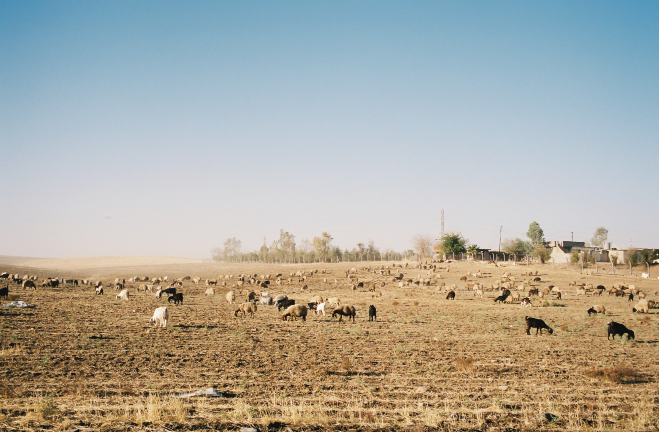 Screenshot 2026-02-27 at 3.12.20 pm.png