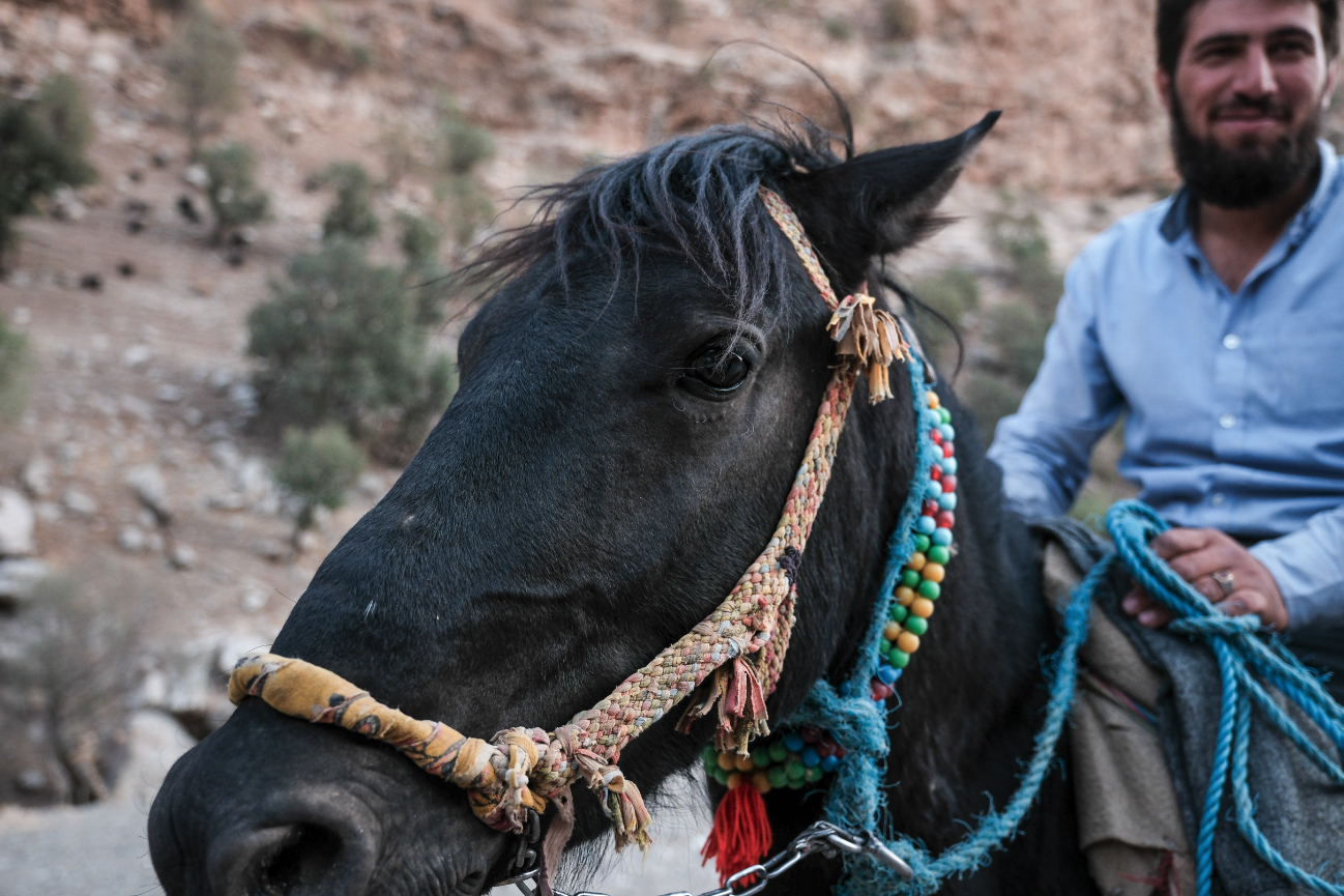 Screenshot 2026-03-11 at 11.55.40 pm.png