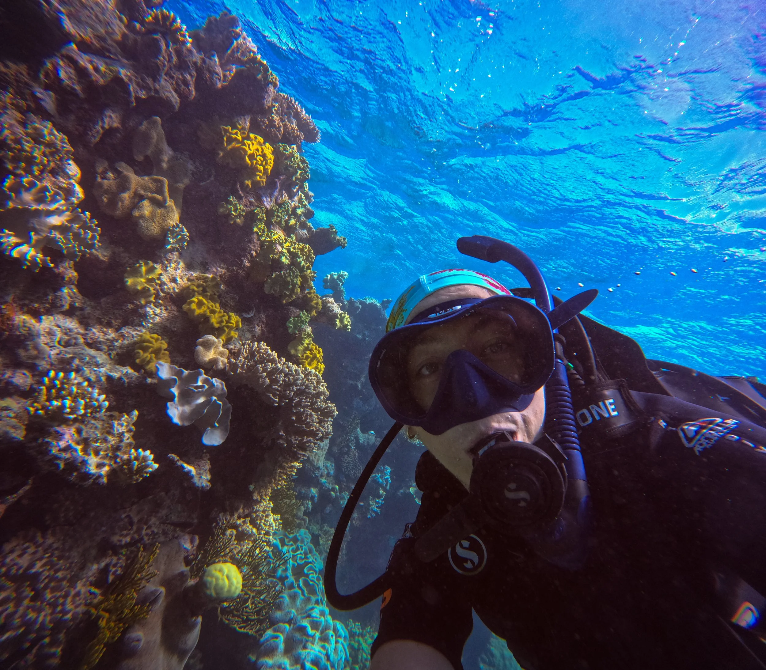 An underwater photograph of a scuba diver wearing a black mask and gear near a vibrant coral reef.
