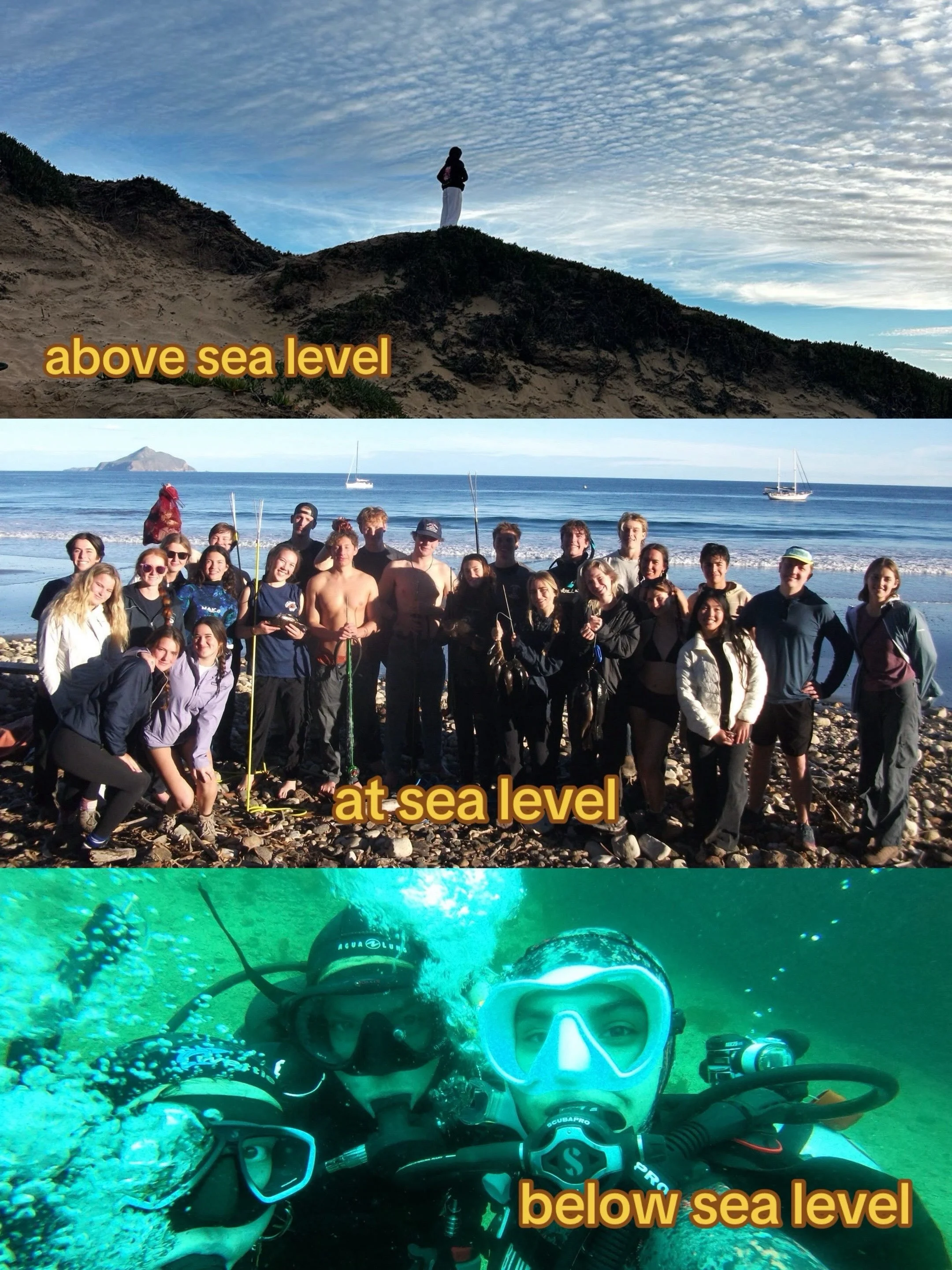 We love our surface intervals too!!! ALL are welcome to join scuba club, regardless of diving experience. Fall quarter is coming up and we can&rsquo;t wait to see you soon 🤙🤙 Don&rsquo;t forget to sign up or renew your membership for this year usin