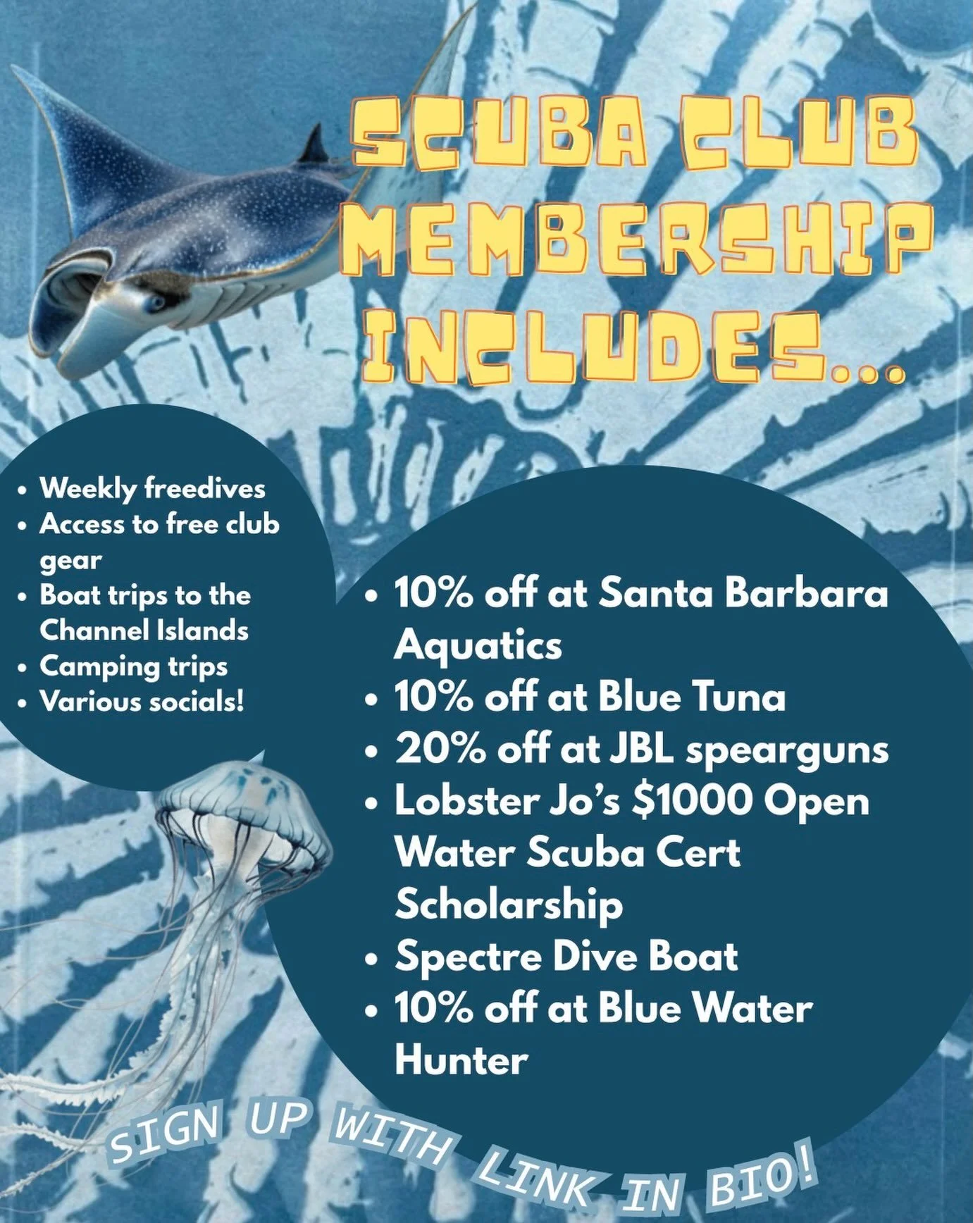 Besides meeting your favorite dive buddies, here are some awesome reasons for joining scuba club! Sign up or renew your membership using the link in our bio 🐚🤙