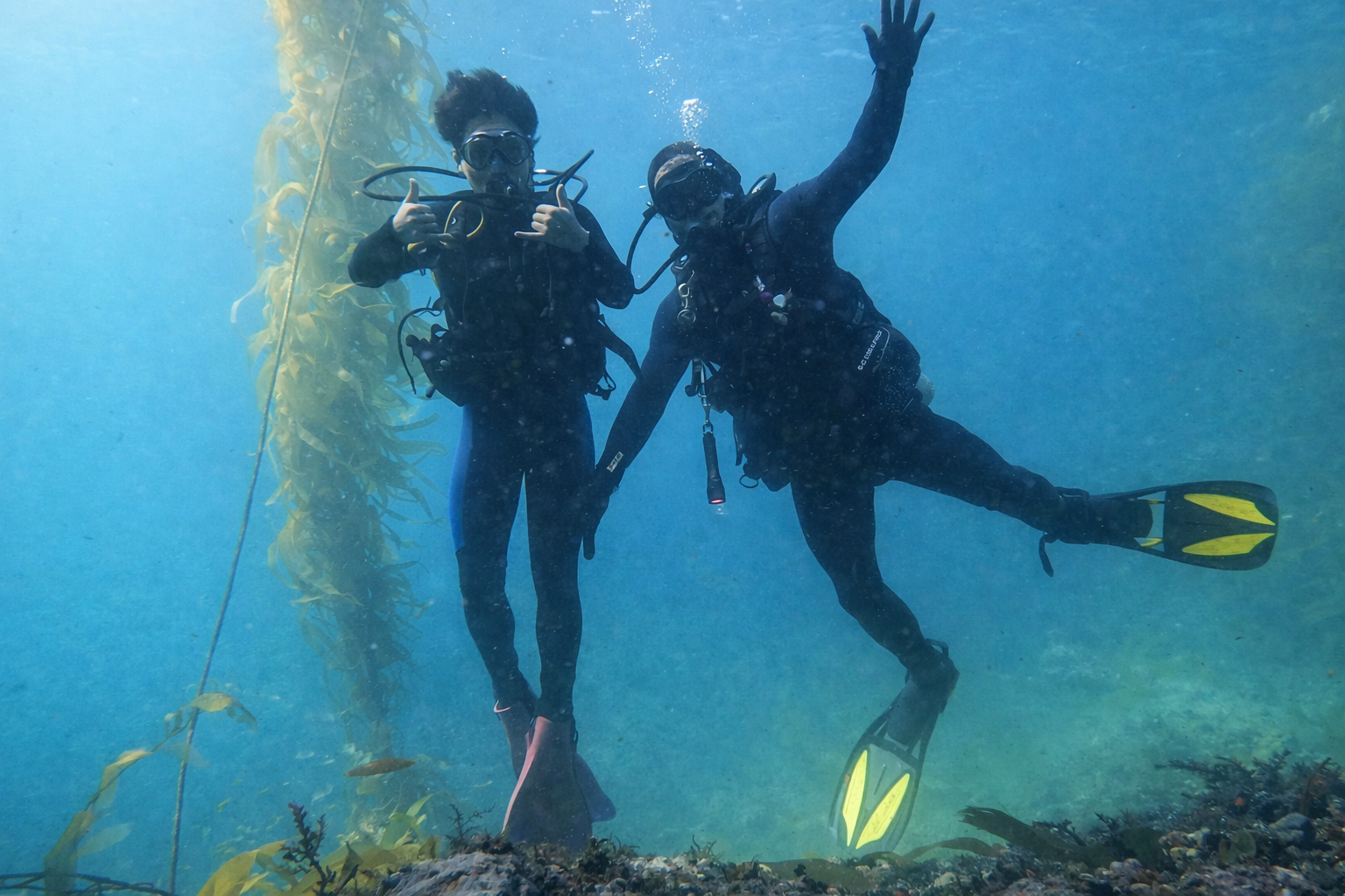 Two scuba divers underwater next to a kelp forest, posing for a photo with one giving a thumbs-up and the other waving.