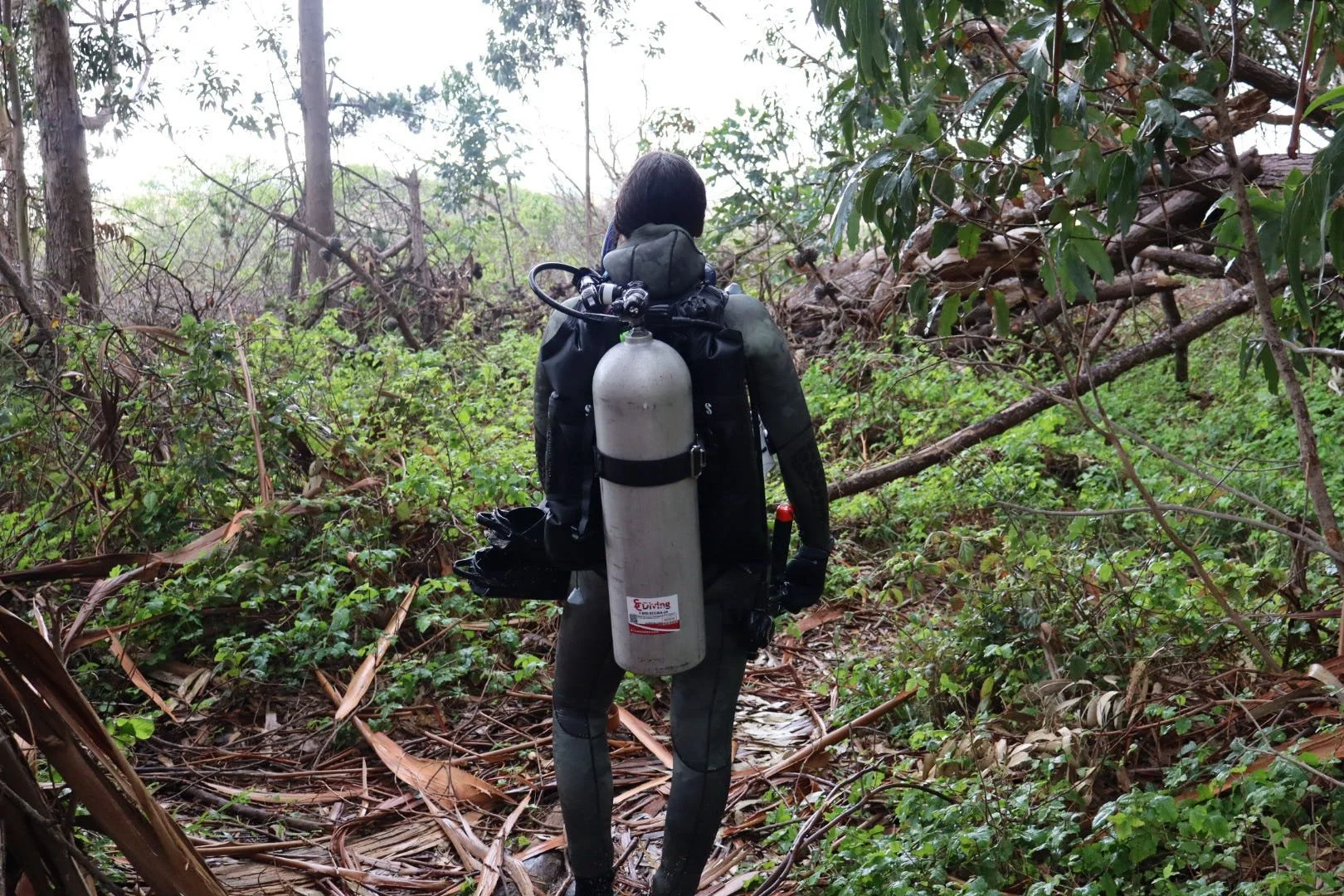 A person with black hair wearing a wetsuit, carrying scuba gear including an oxygen tank on their back, walking through a dense, green forested area with fallen branches and leaves on the ground.