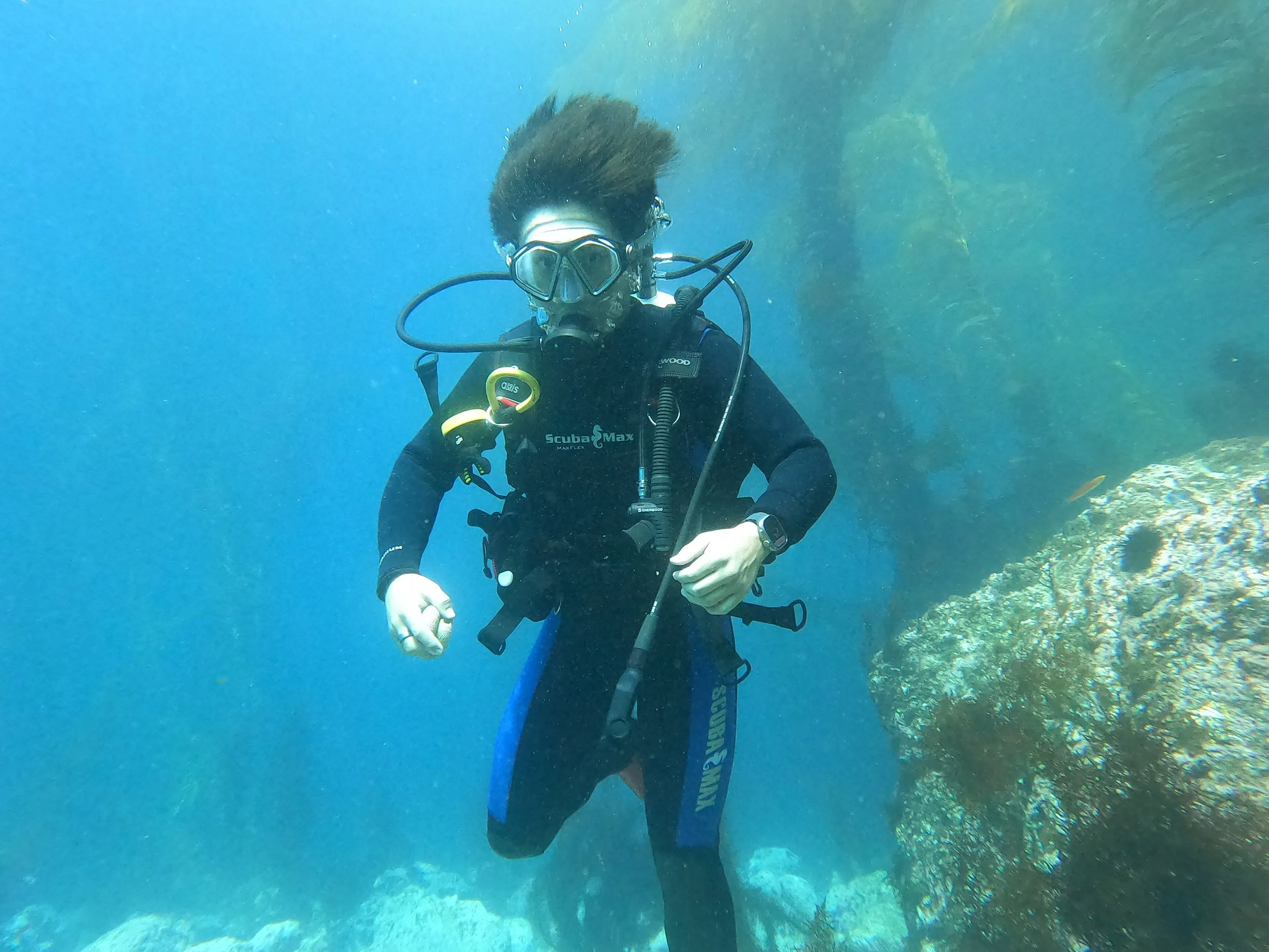 A scuba diver with dark hair in full gear swimming underwater near rocks and seaweed.