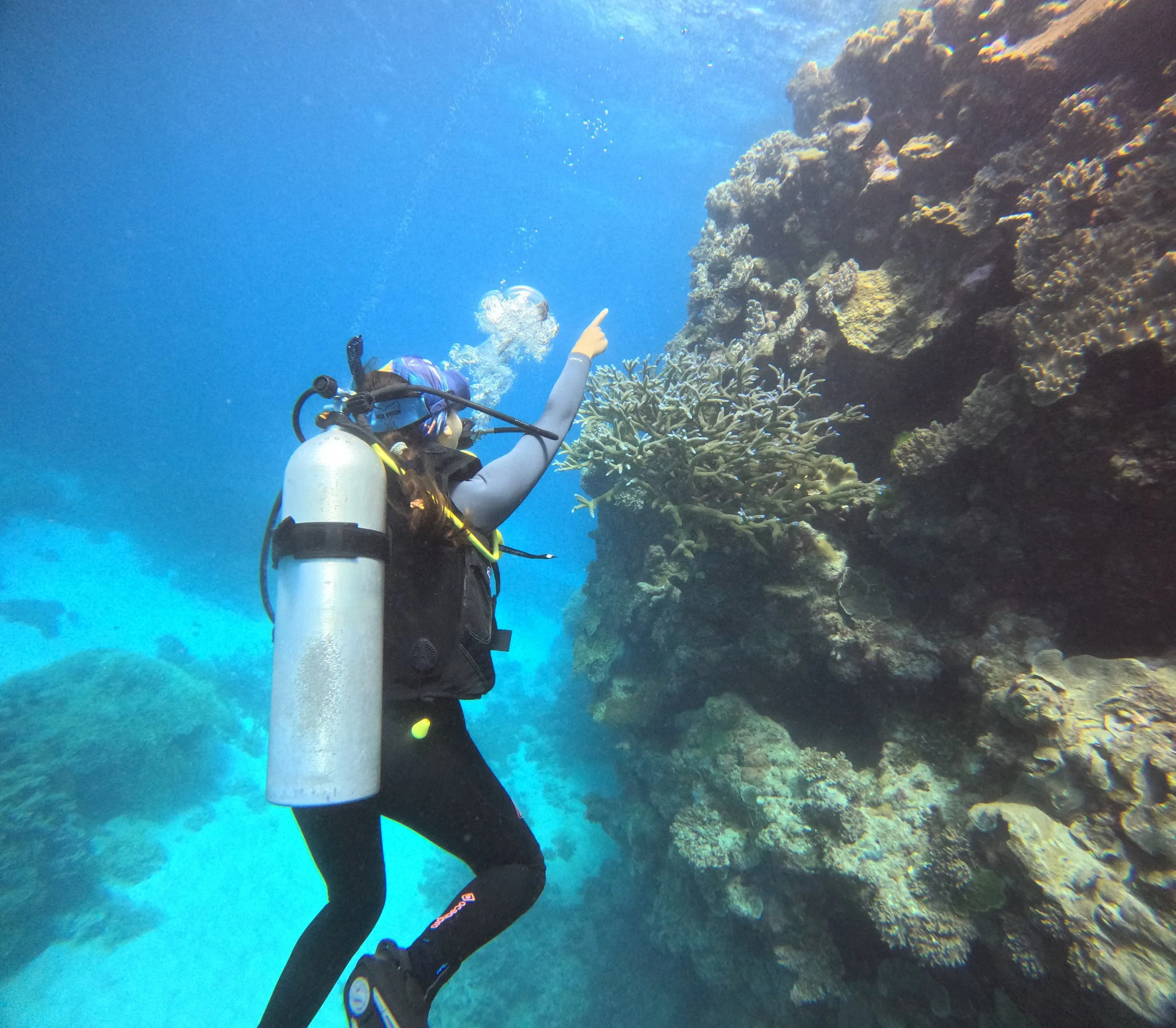 A woman scuba diving underwater near a coral reef, pointing at the reef.