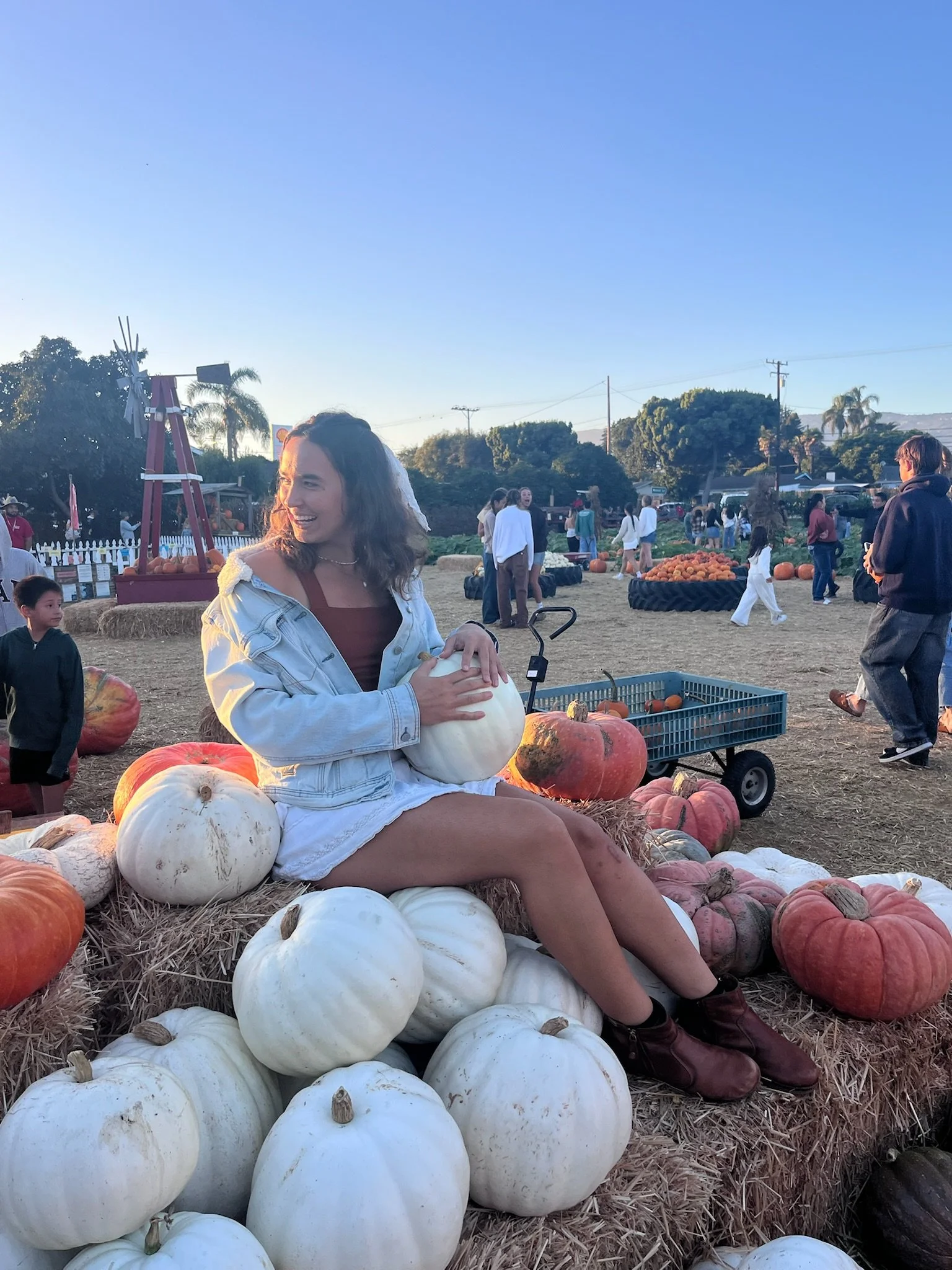 A woman sitting on hay bales surrounded by white and orange pumpkins at a pumpkin patch, holding a white pumpkin, with other people and pumpkin displays in the background under a clear blue sky.