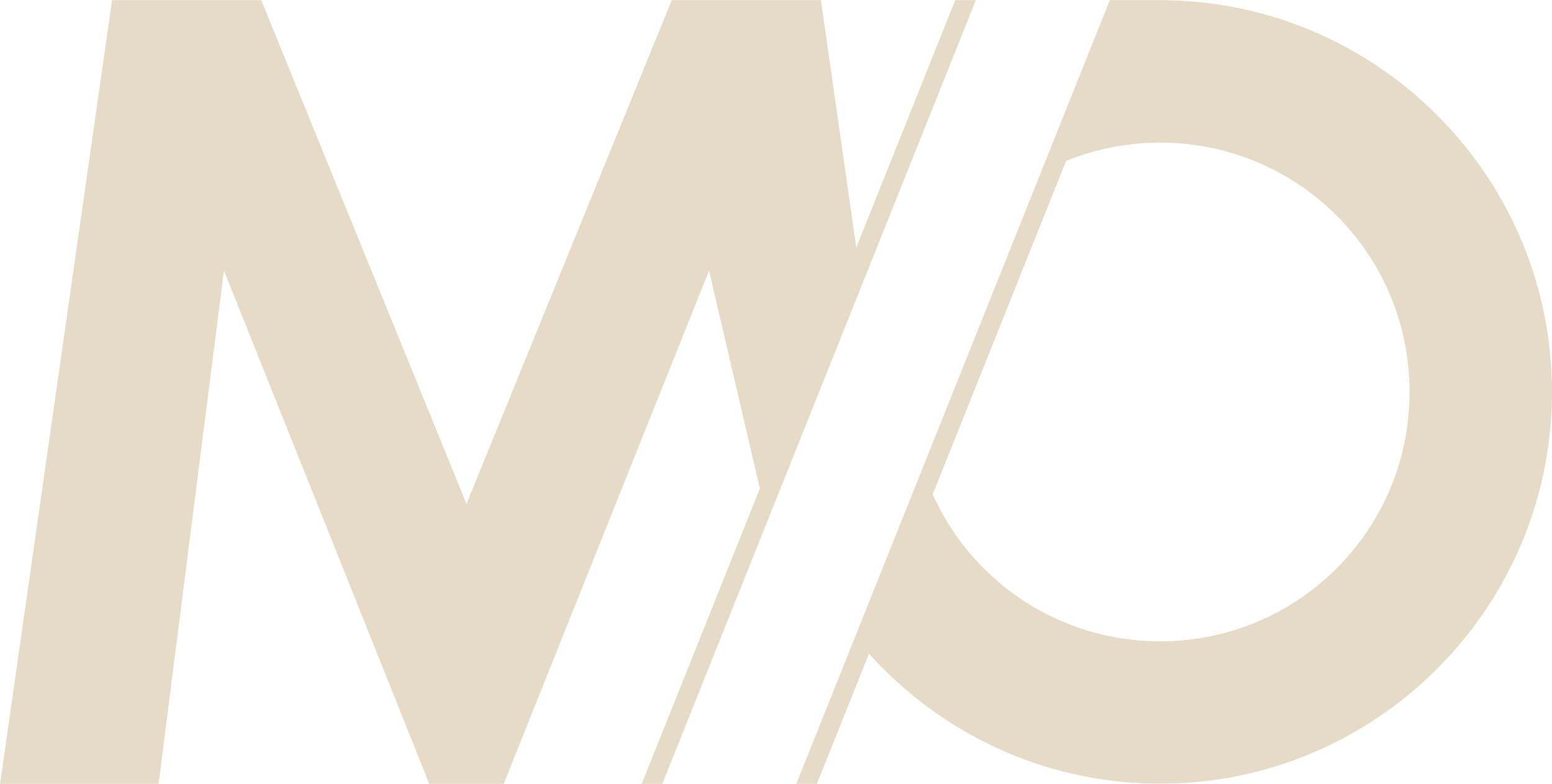Close-up of the 'NO' logo in bold beige letters on a black background.