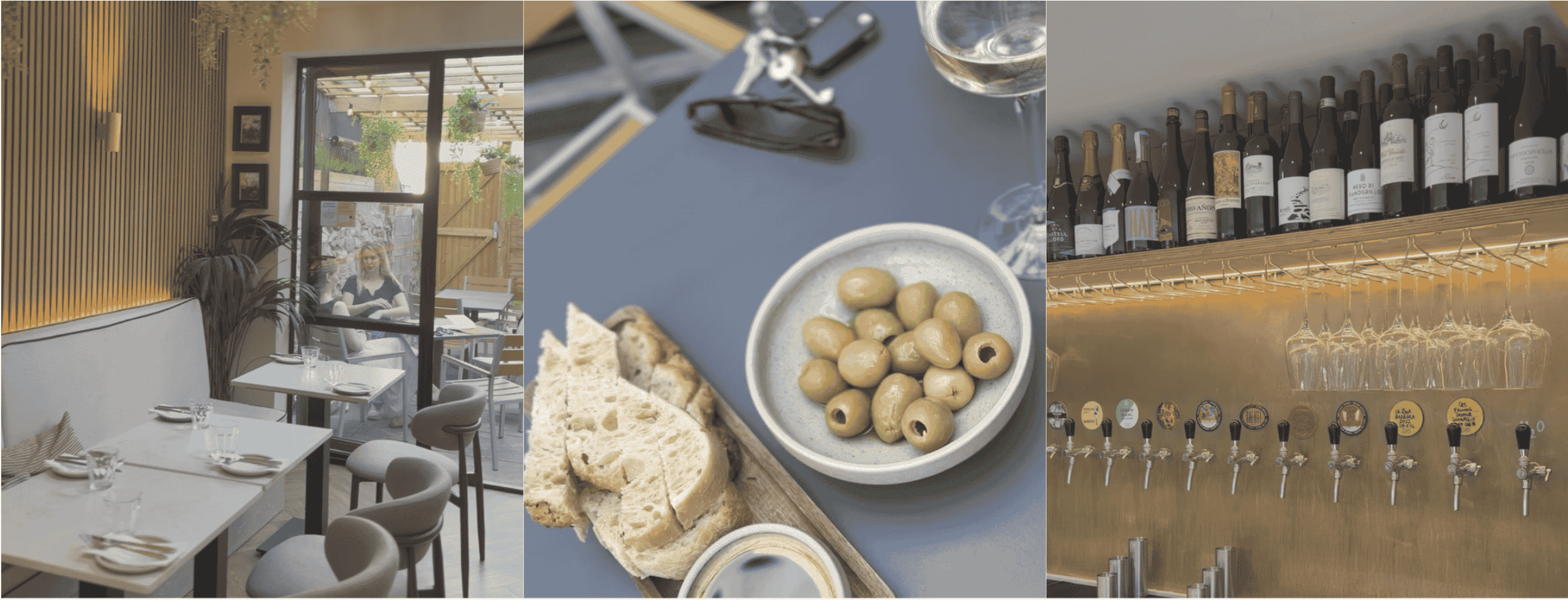 tapps wine tasting afternoon