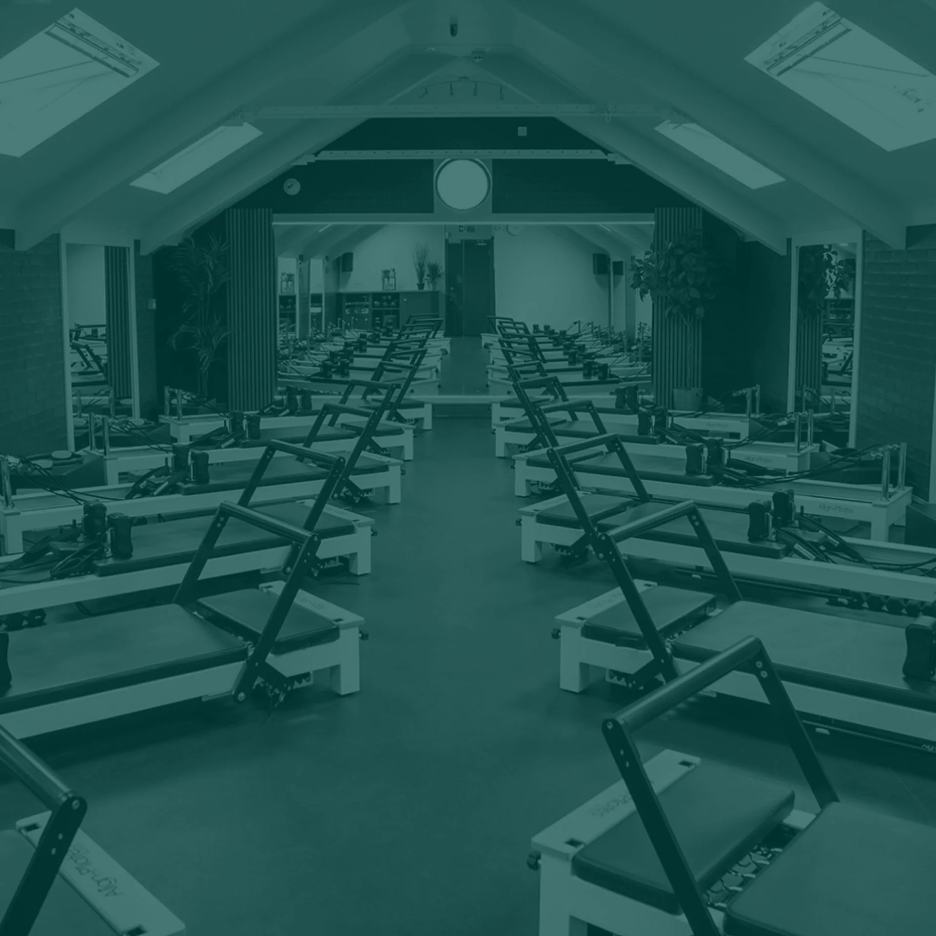 Empty fitness room with exercise equipment, including adjustable workout stations, in a modern setting with skylights and plants.