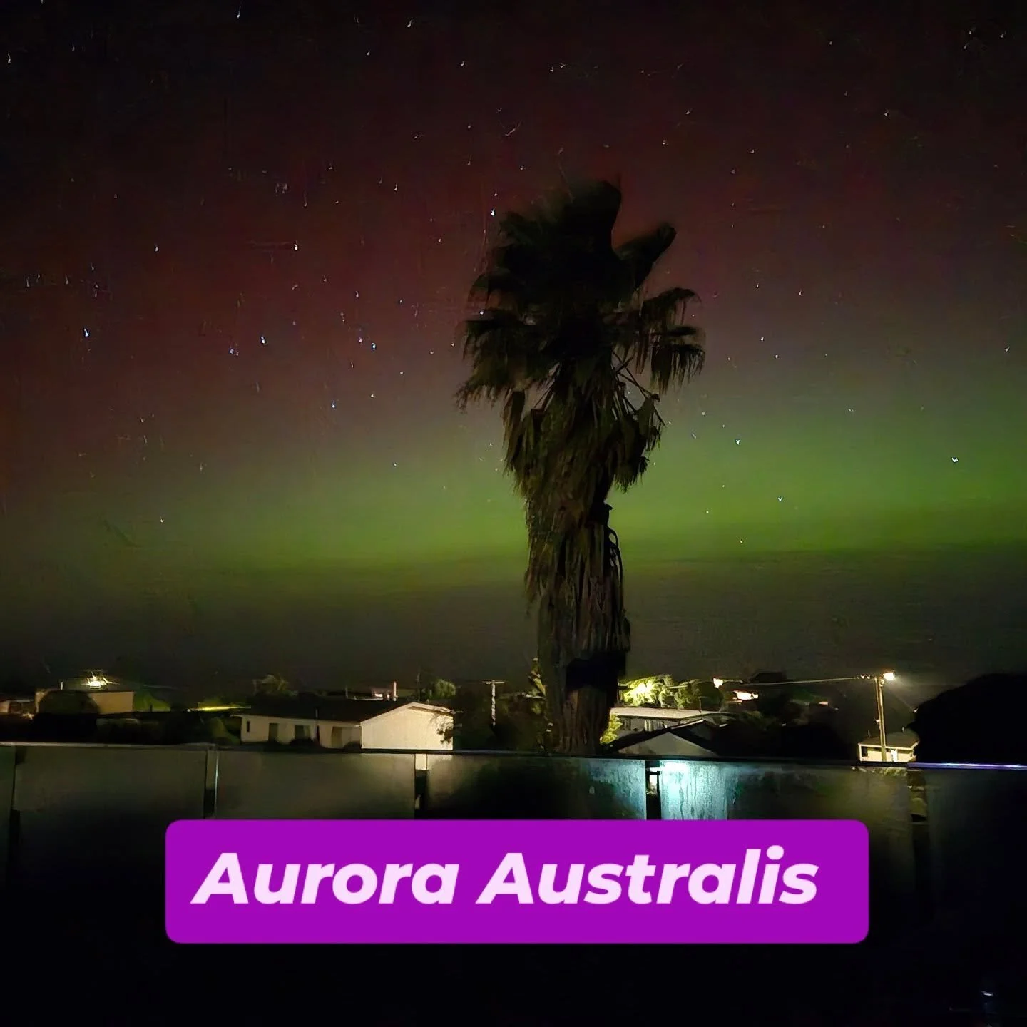Night sky with stars and an aurora borealis glow, with a silhouette of a palm tree and rooftops in the foreground. The text 'Aurora Australis' is displayed at the bottom.