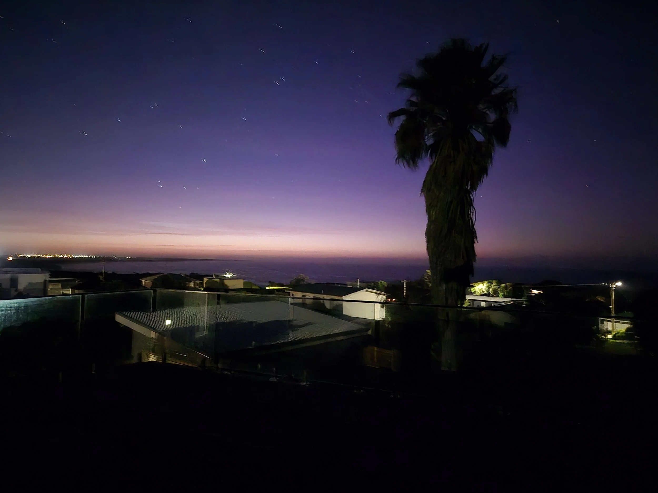 Nighttime view of a purple and blue sky over a body of water, with a tall palm tree silhouette and some rooftops in the foreground, and stars visible in the sky.