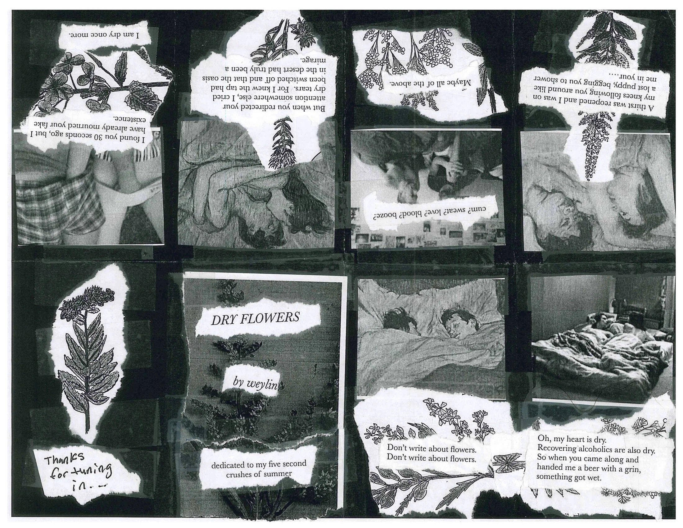 Dry Flowers.jpg