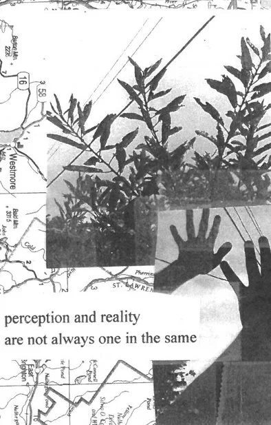 the body 4 copy 2.jpg