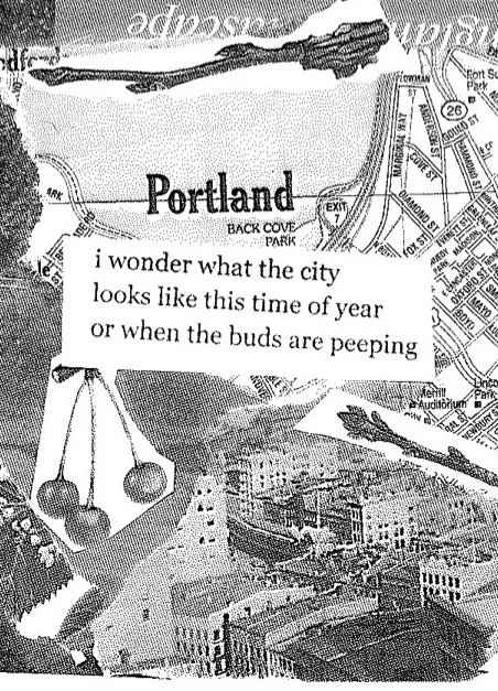 SKM_C554e18030619481 copy.jpg