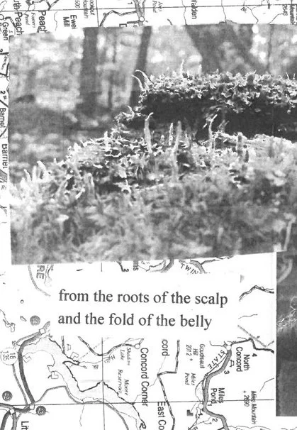 the body 3 copy 2.jpg