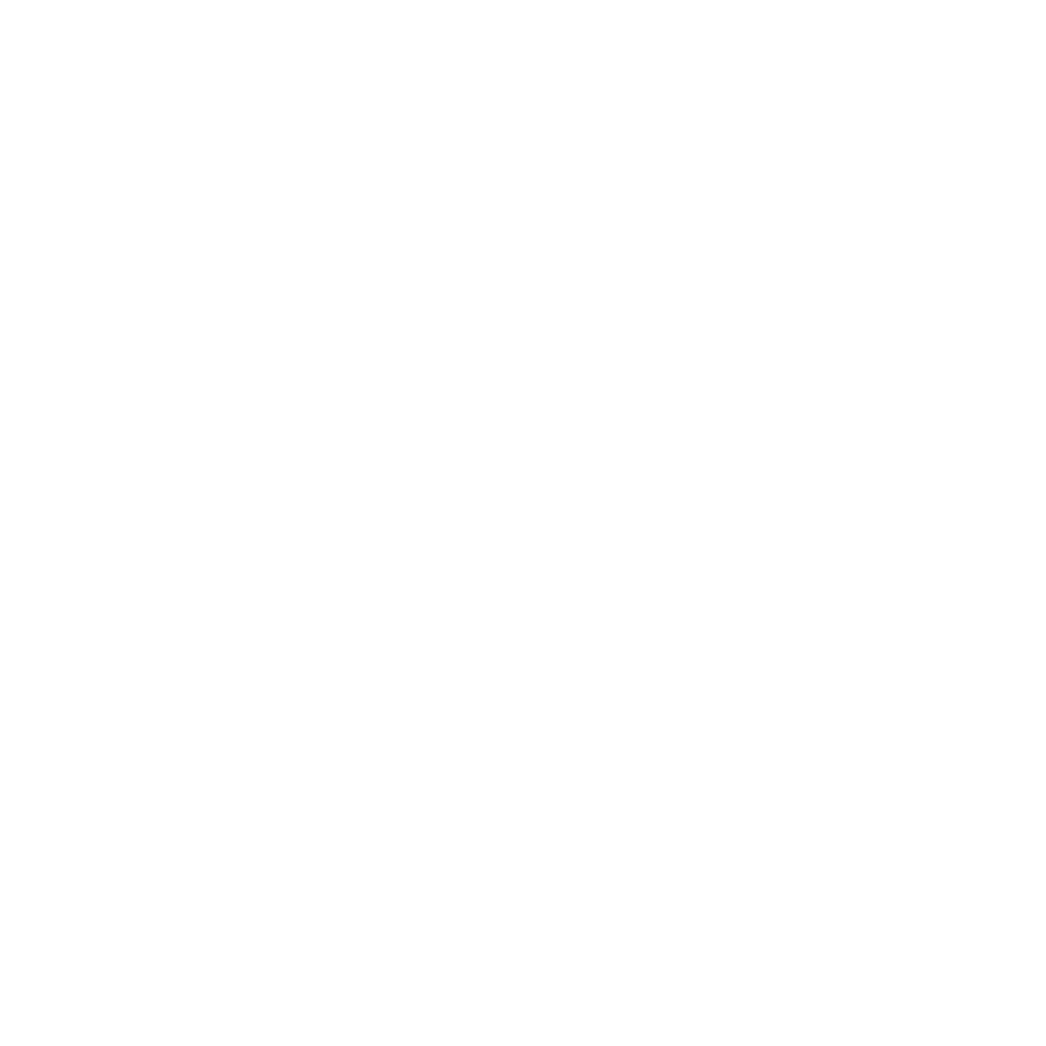 McNish Media