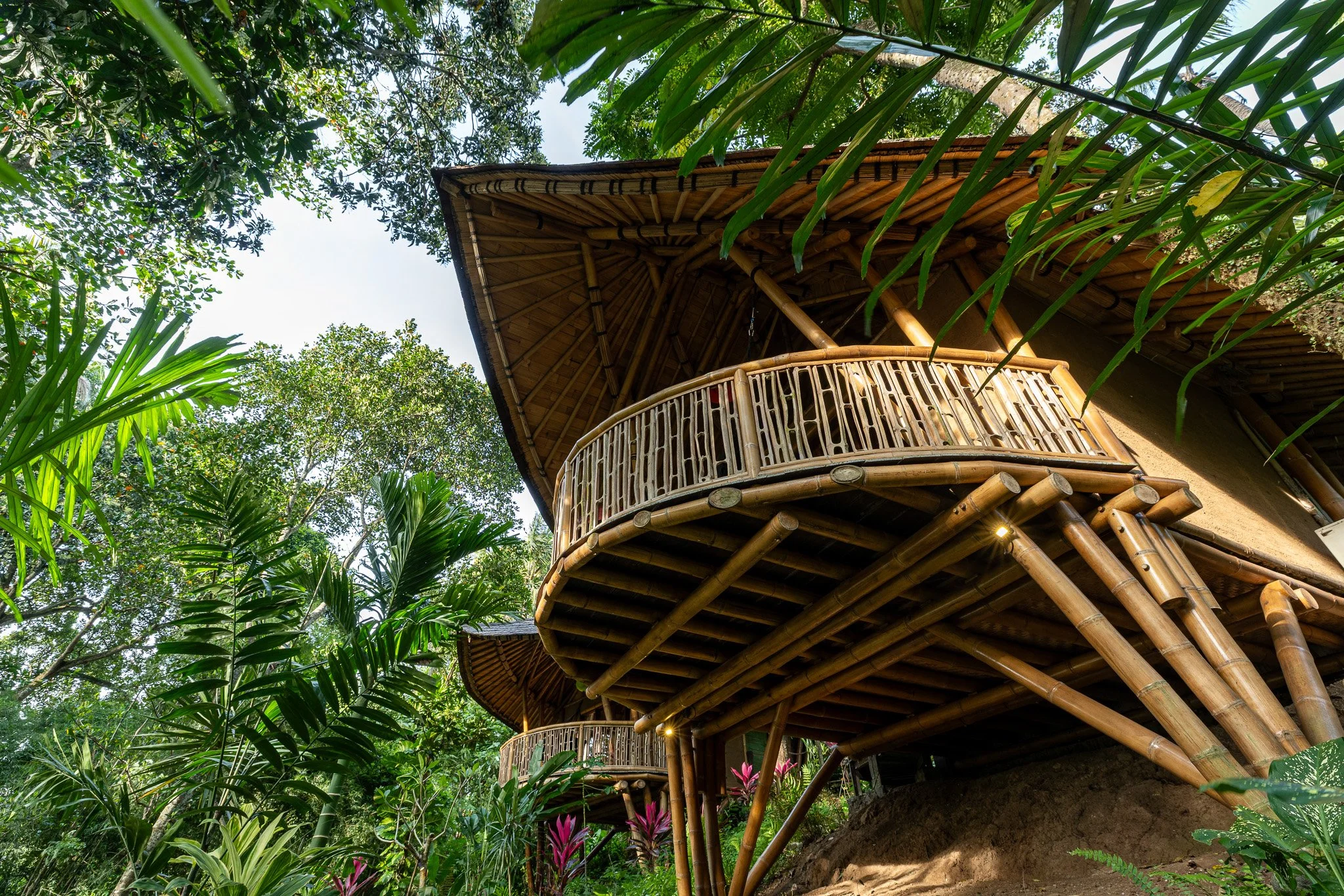 Treehouse built from bamboo in a lush jungle, viewed from below with foliage and sky in the background.