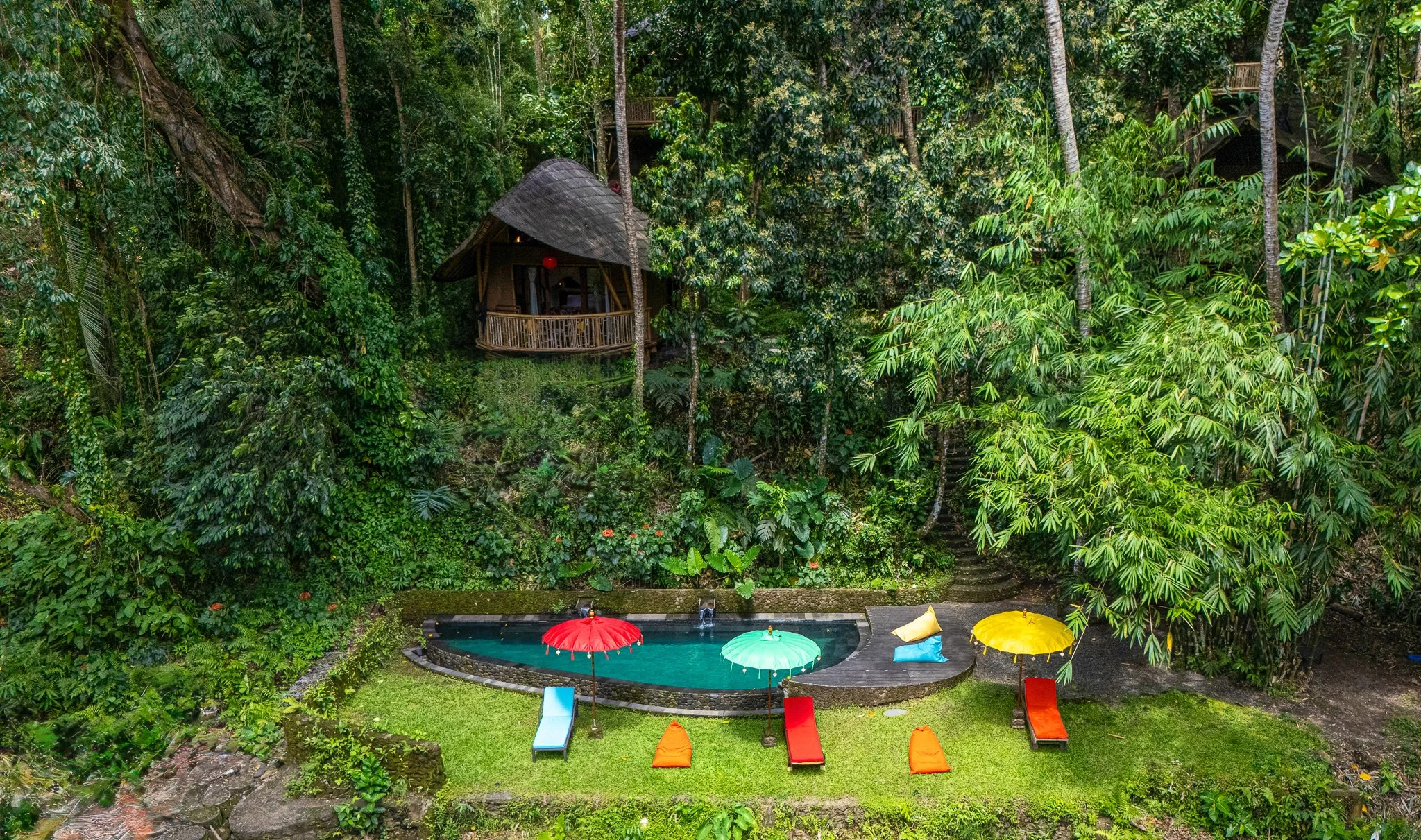 Tropical lush green forest with a small pool surrounded by colorful umbrellas and lounge chairs, and a treehouse on stilts among dense foliage.