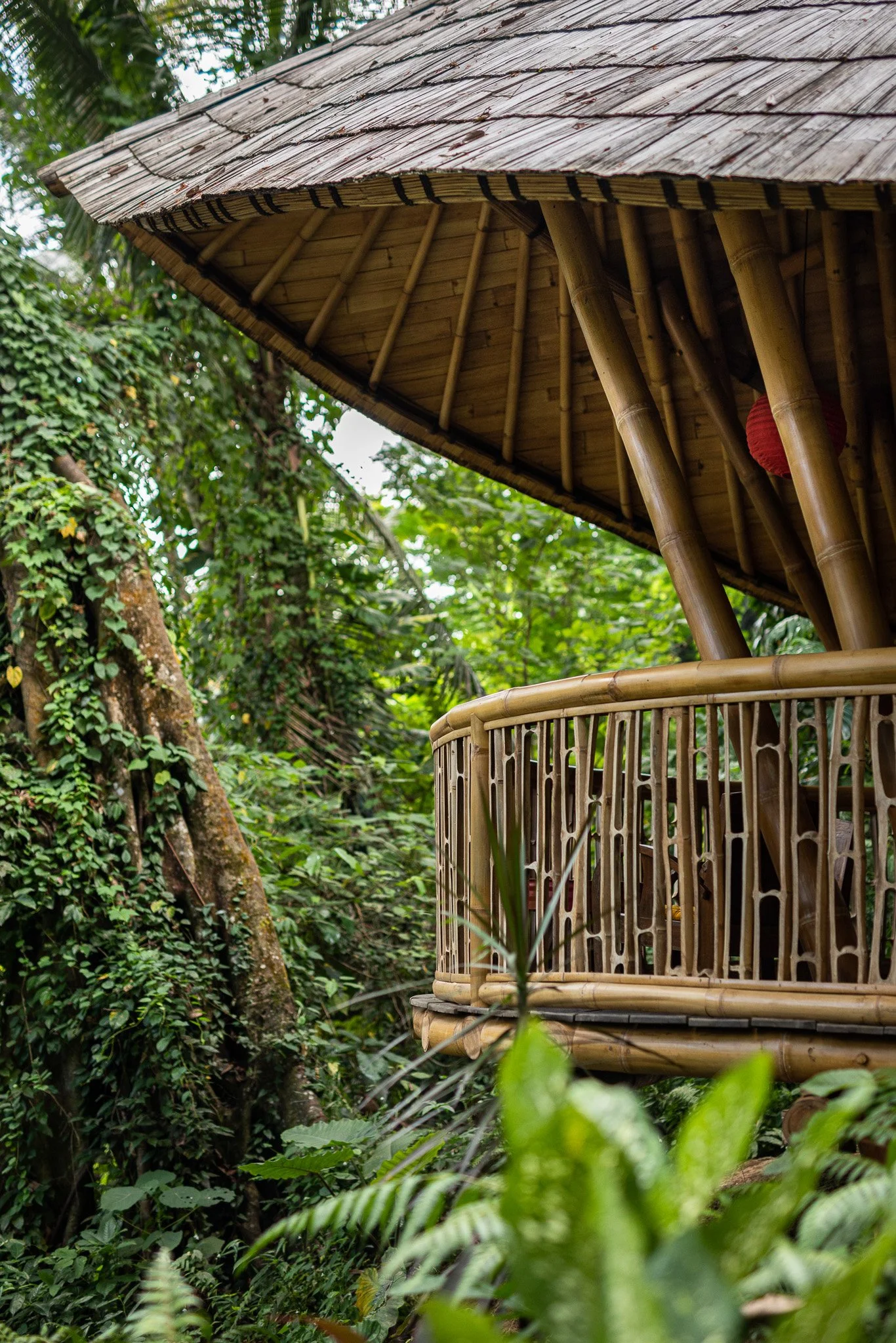 A bamboo treehouse with a thatched roof, surrounded by lush green tropical foliage.
