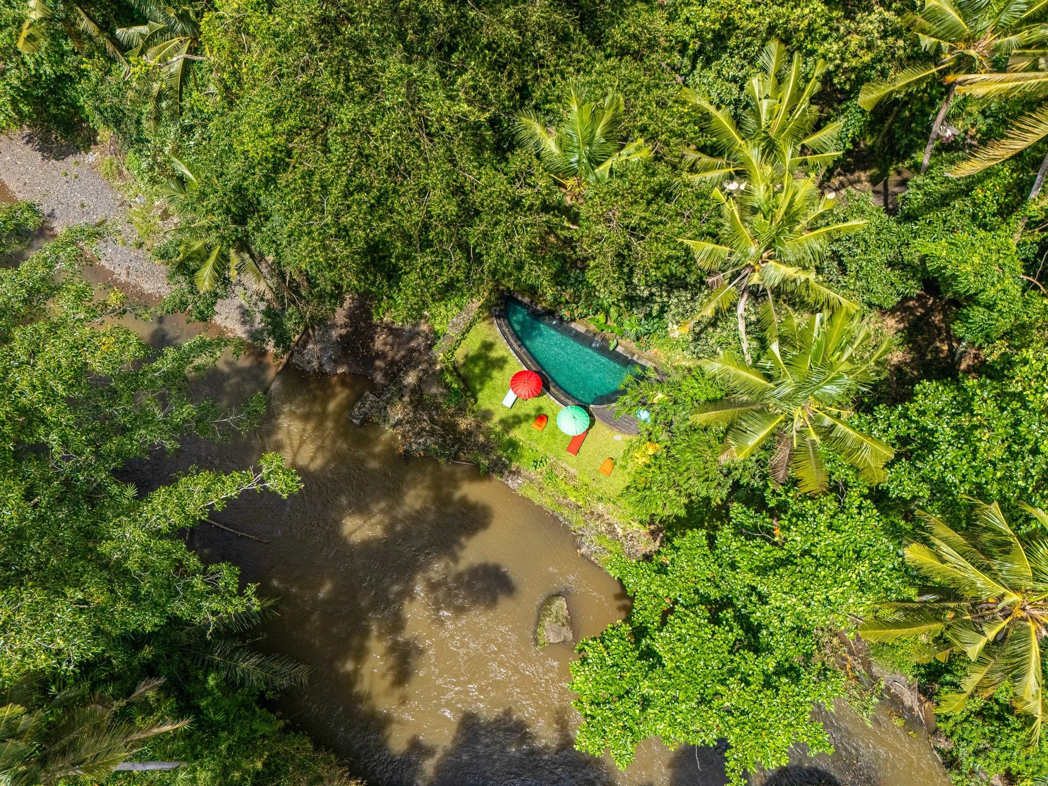 Aerial view of a tropical garden with a small pool, colorful umbrellas, and lounge chairs surrounded by lush greenery and tall palm trees beside a river.