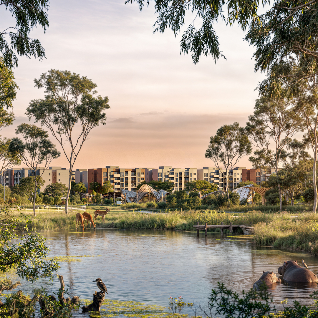 What Does 41% Uptake at Porini Point Mean for Buyers?