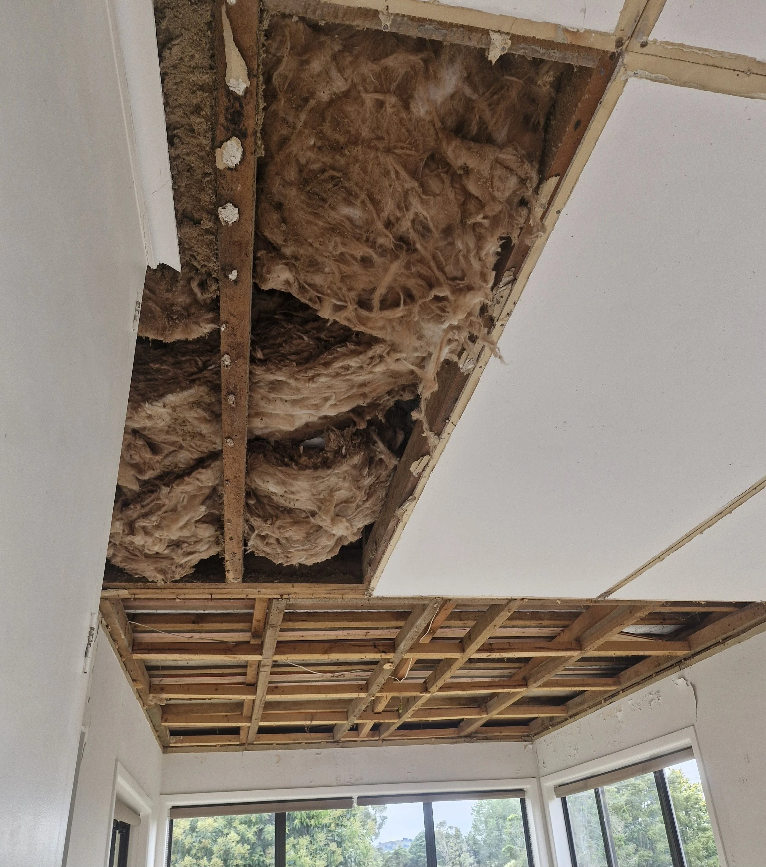 NORTHLAND HOME: Ceiling Repairs &amp; Sagging - GIB Fixes