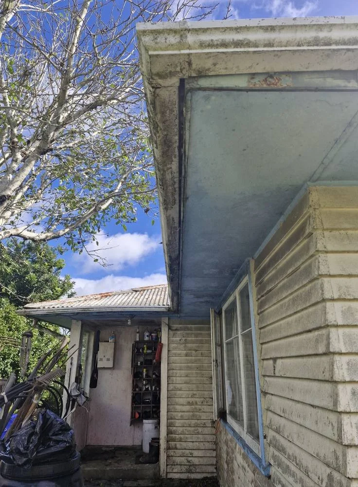 Holfix_exterior painting before example1.jpg