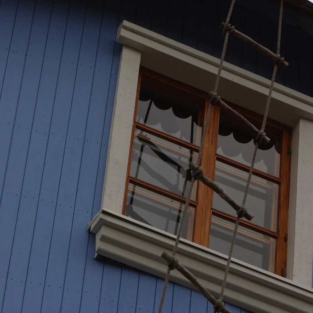 Blue house exterior with basement egress window and rope ladder, highlighting emergency escape access, window operation, and exterior safety.