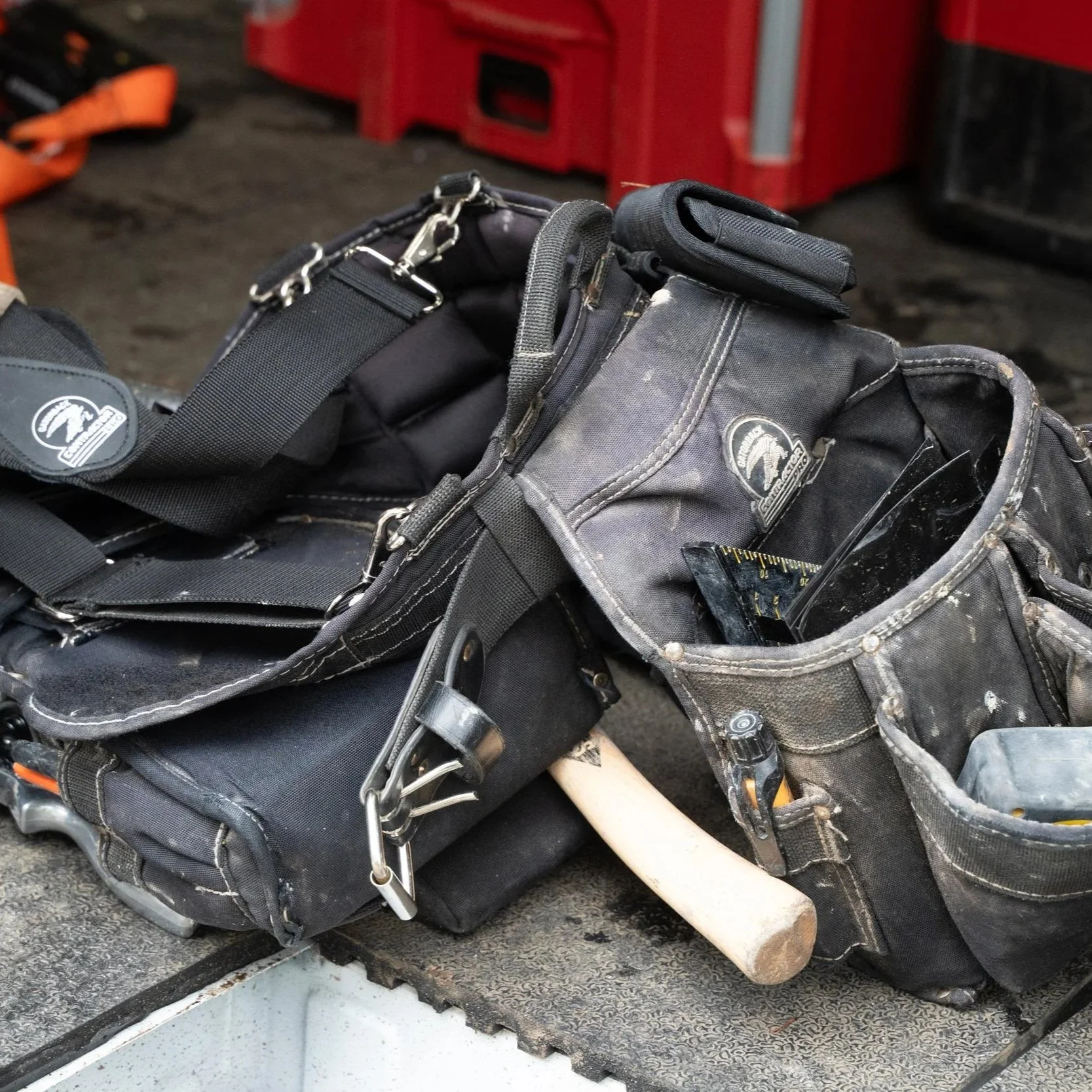 Signs of Dry Rot: What to Look For Before the Damage Spreads