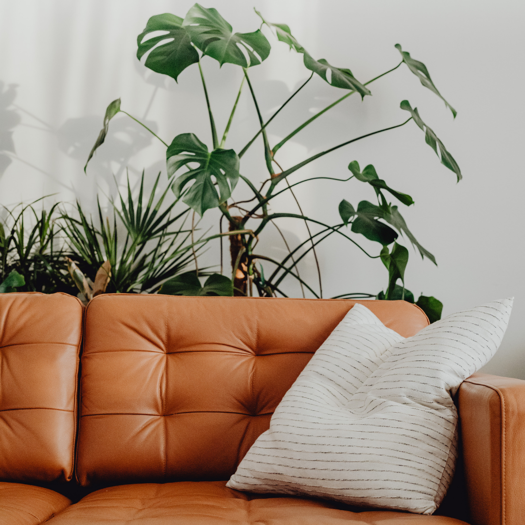 What Is a Size-Inclusive and Anti-Diet Therapist?