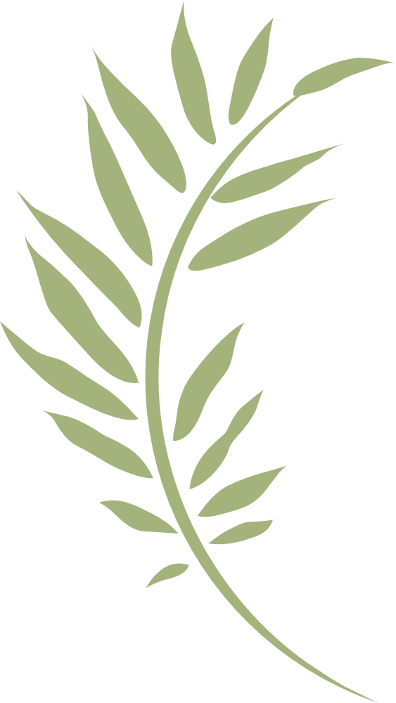Illustration of a fern with a curved stem.