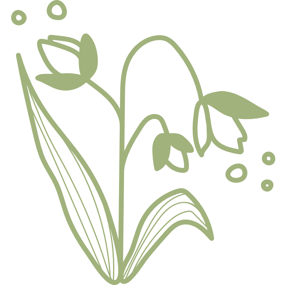 Line drawing of a plant with flowers, leaves, and small circular elements, in green on a black background.