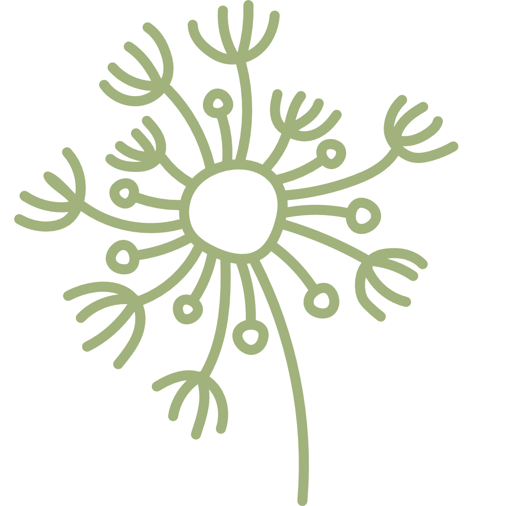 A stylized illustration of a dandelion flower.