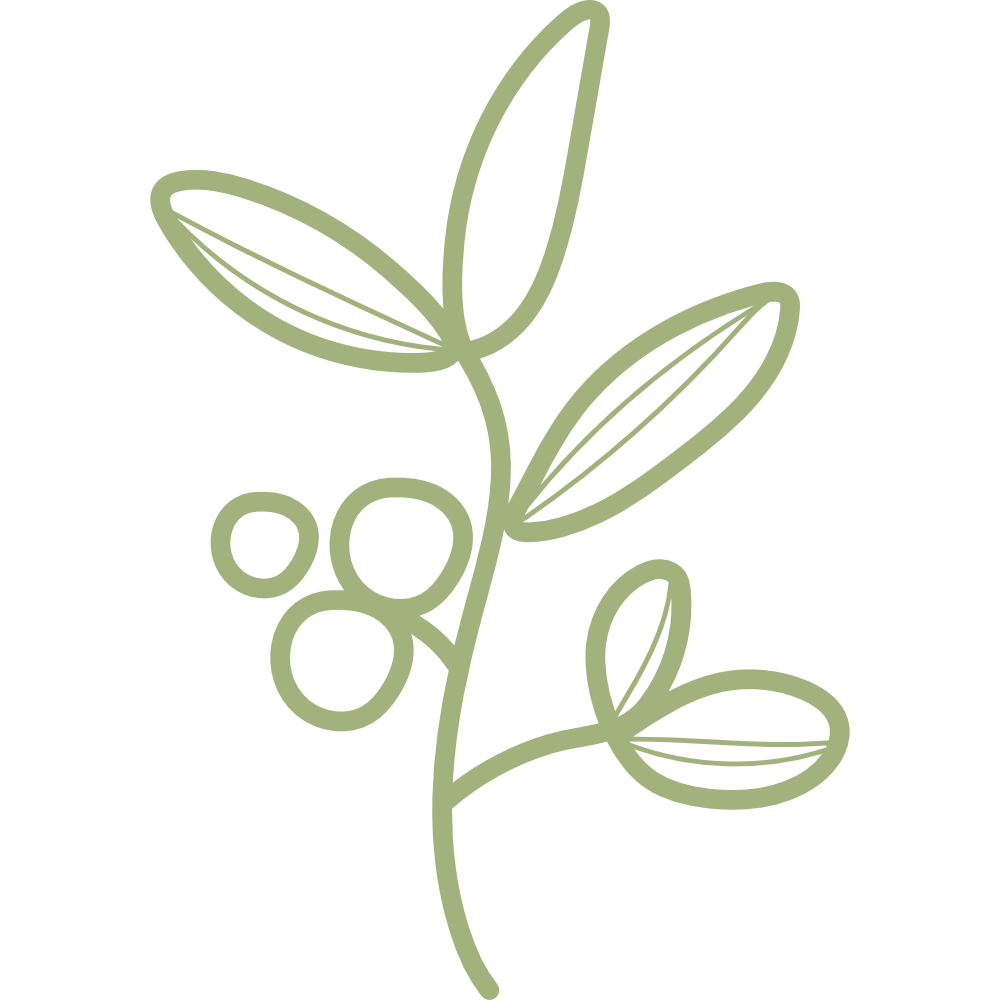 Simple green line drawing of a sprig with four leaves and three berries on a black background.
