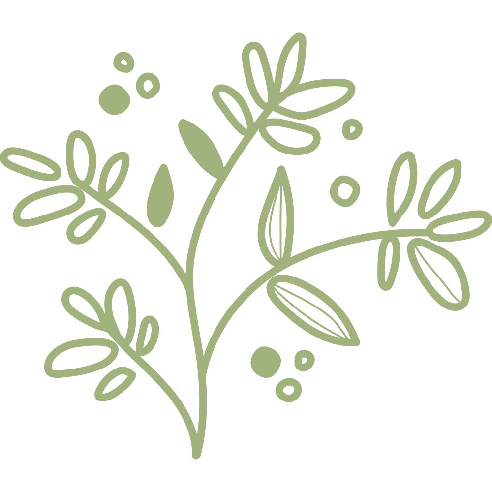 Simple green line drawing of a sprig with leaves and small berries.