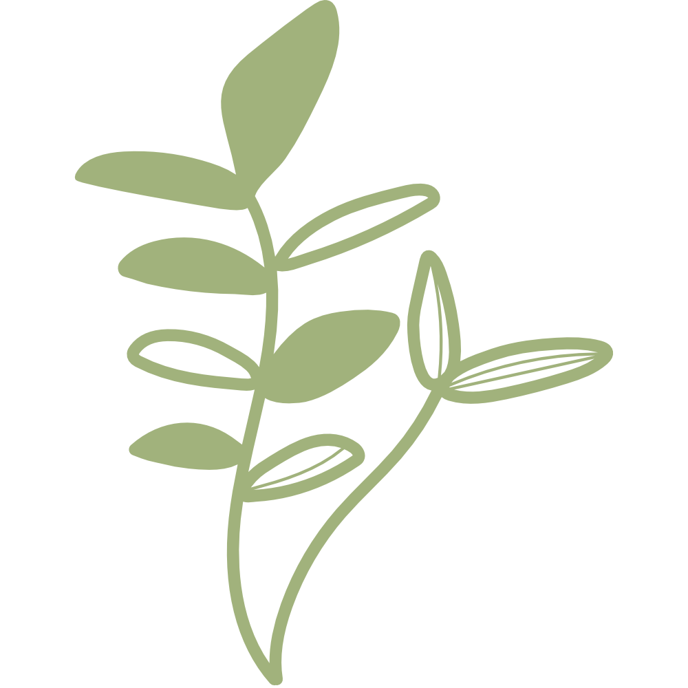 Minimalist illustration of a green leafy sprig with elongated leaves on a black background.