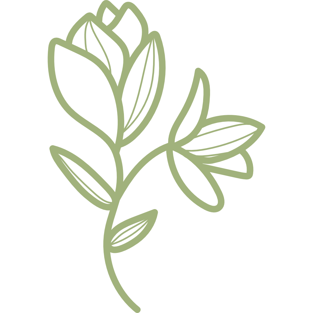 Line drawing of a flower with leaves on a black background.